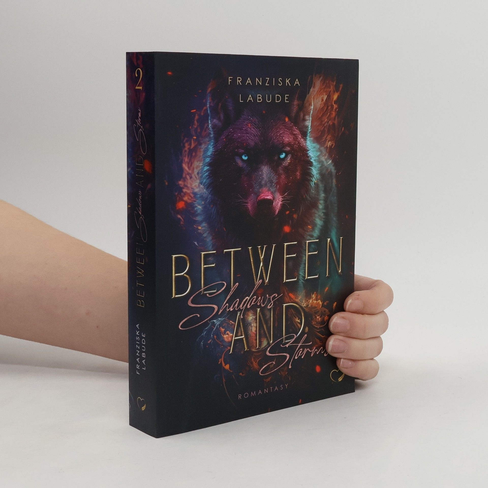 Franziska Labude Between Fire and Fate - 2: Between Shadows and Storms