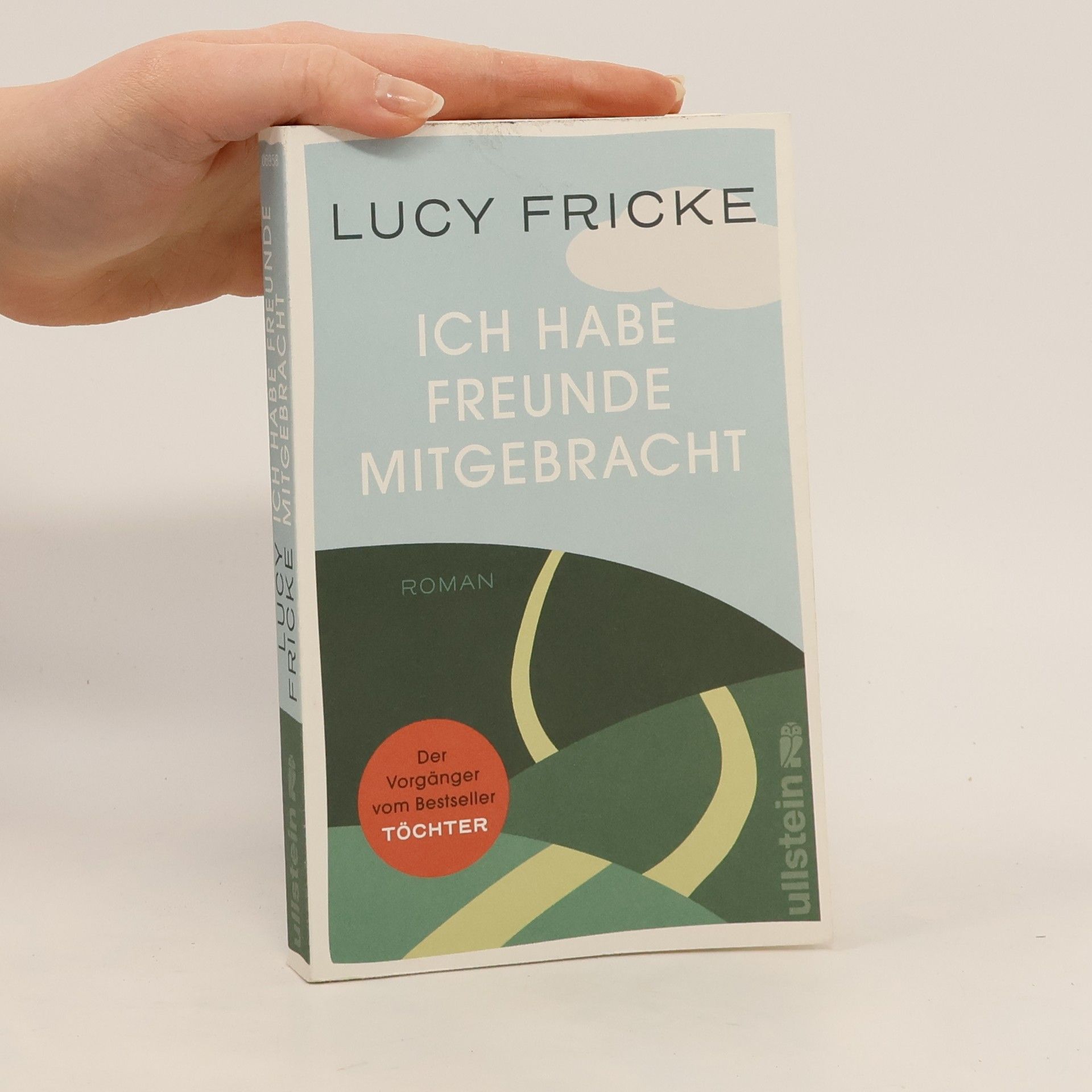 Lucy Fricke Ich habe Freunde mitgebracht