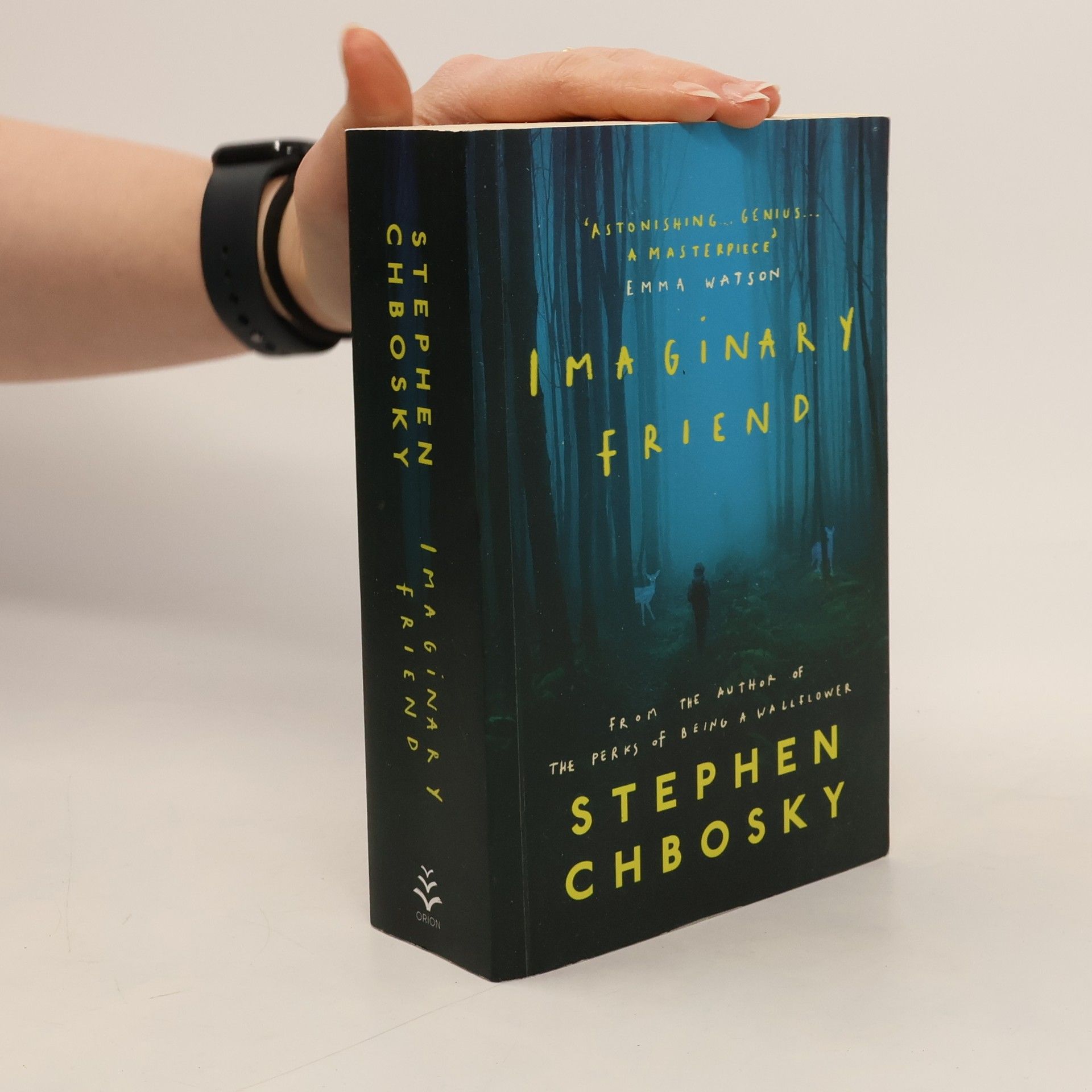 Stephen Chbosky Imaginary friend