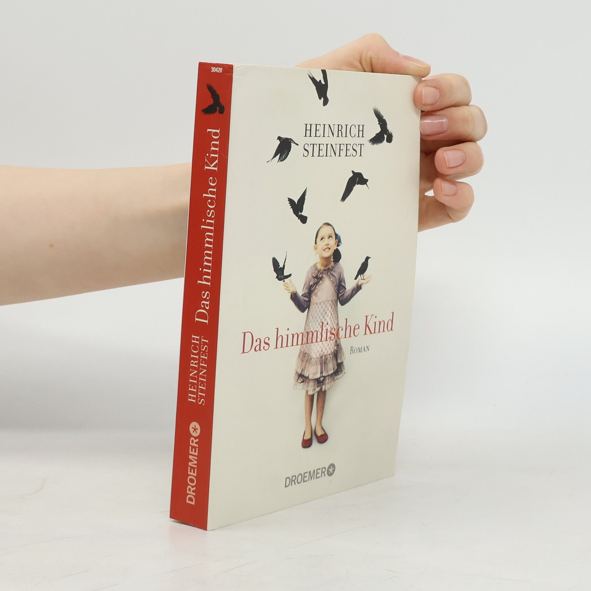 Heinrich Steinfest Das himmlische Kind