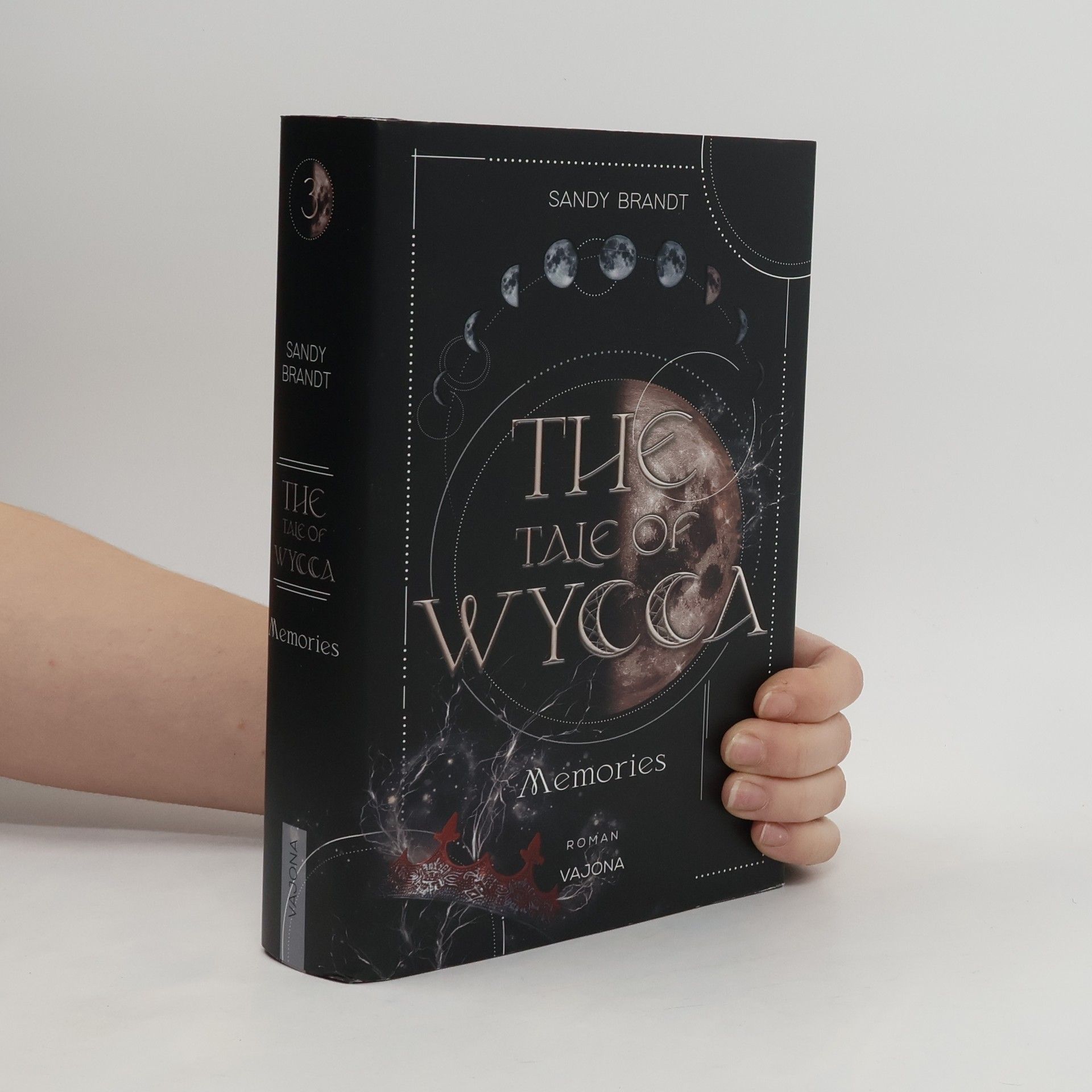 Sandy Brandt THE TALE OF WYCCA: Memories (WYCCA-Reihe 3)