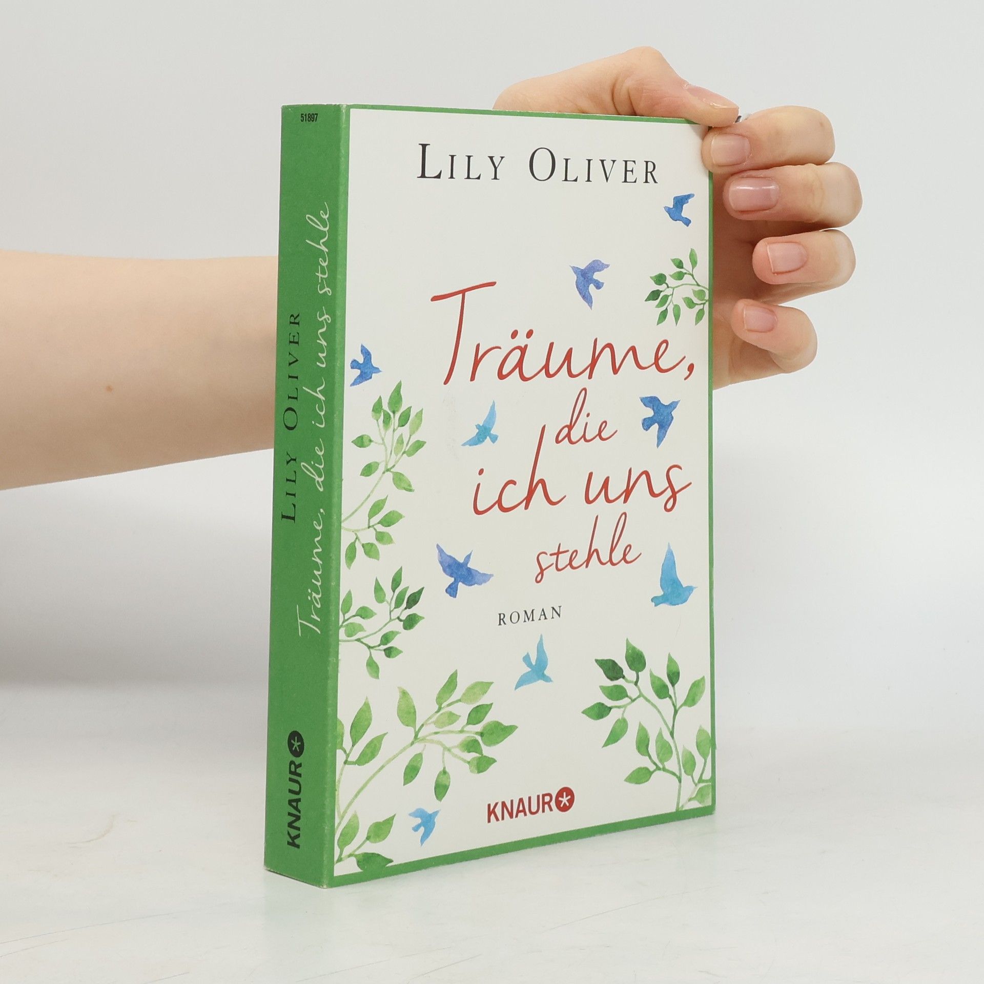 Lily Oliver Träume, die ich uns stehle