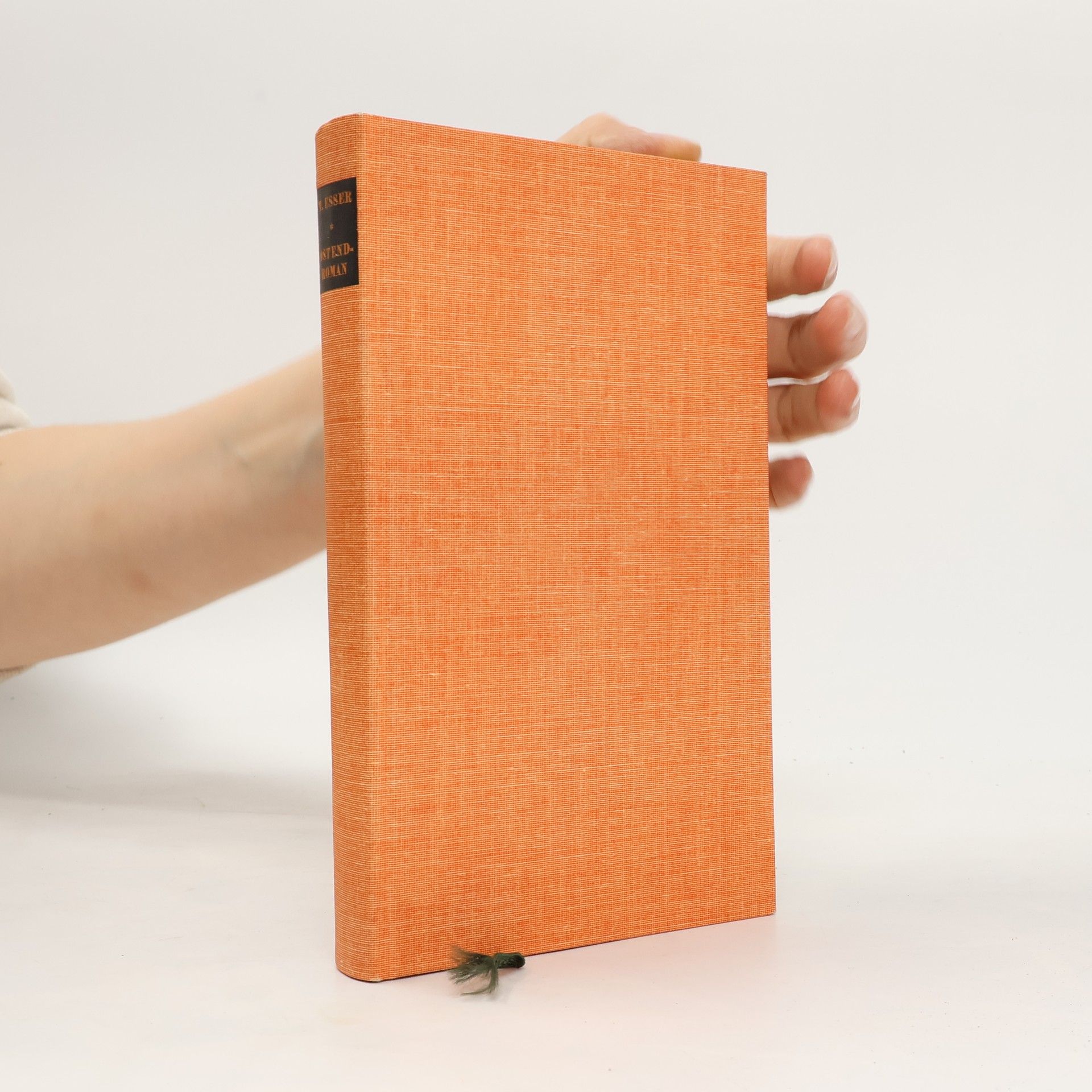 Manfred Esser Ostend