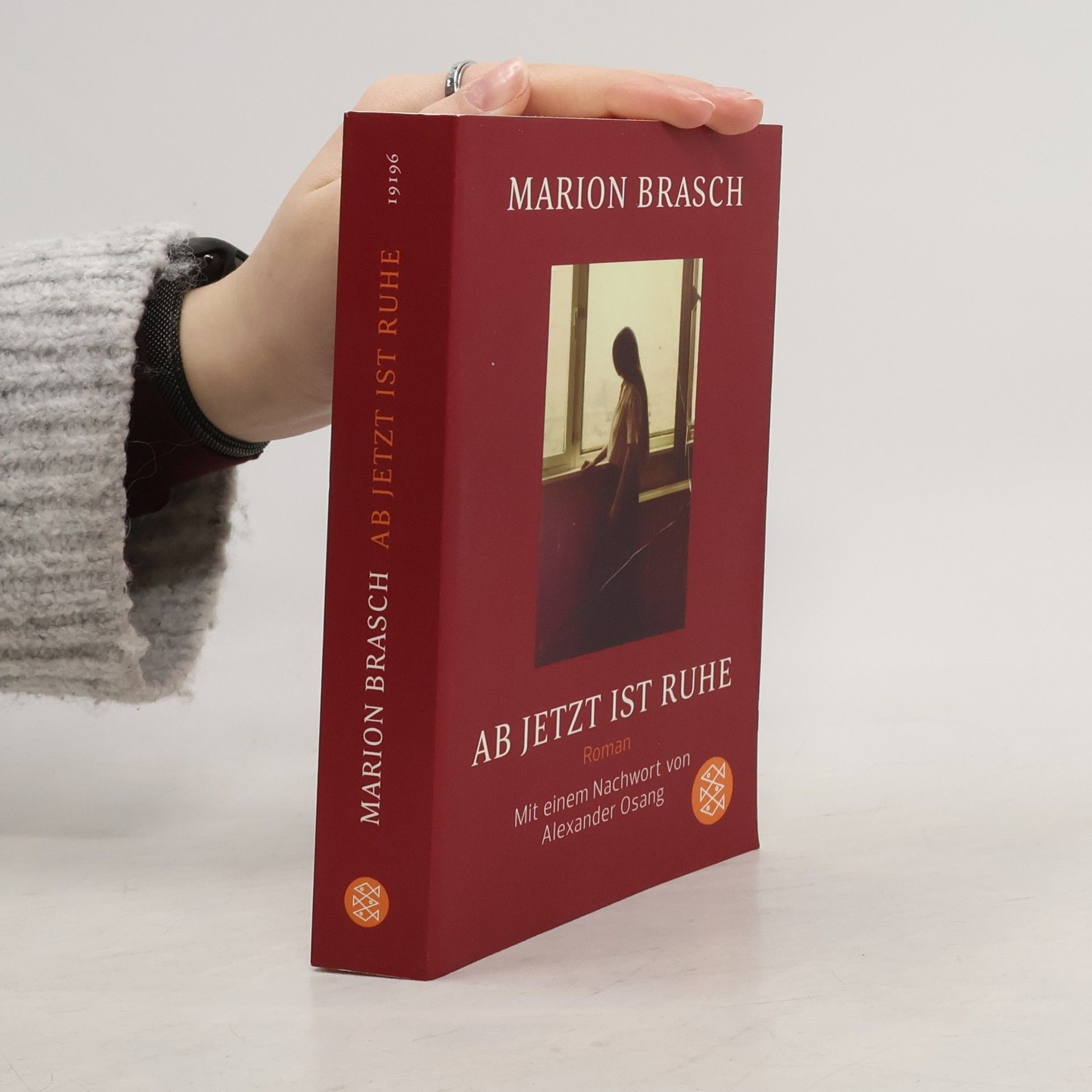 Marion Brasch Ab jetzt ist Ruhe