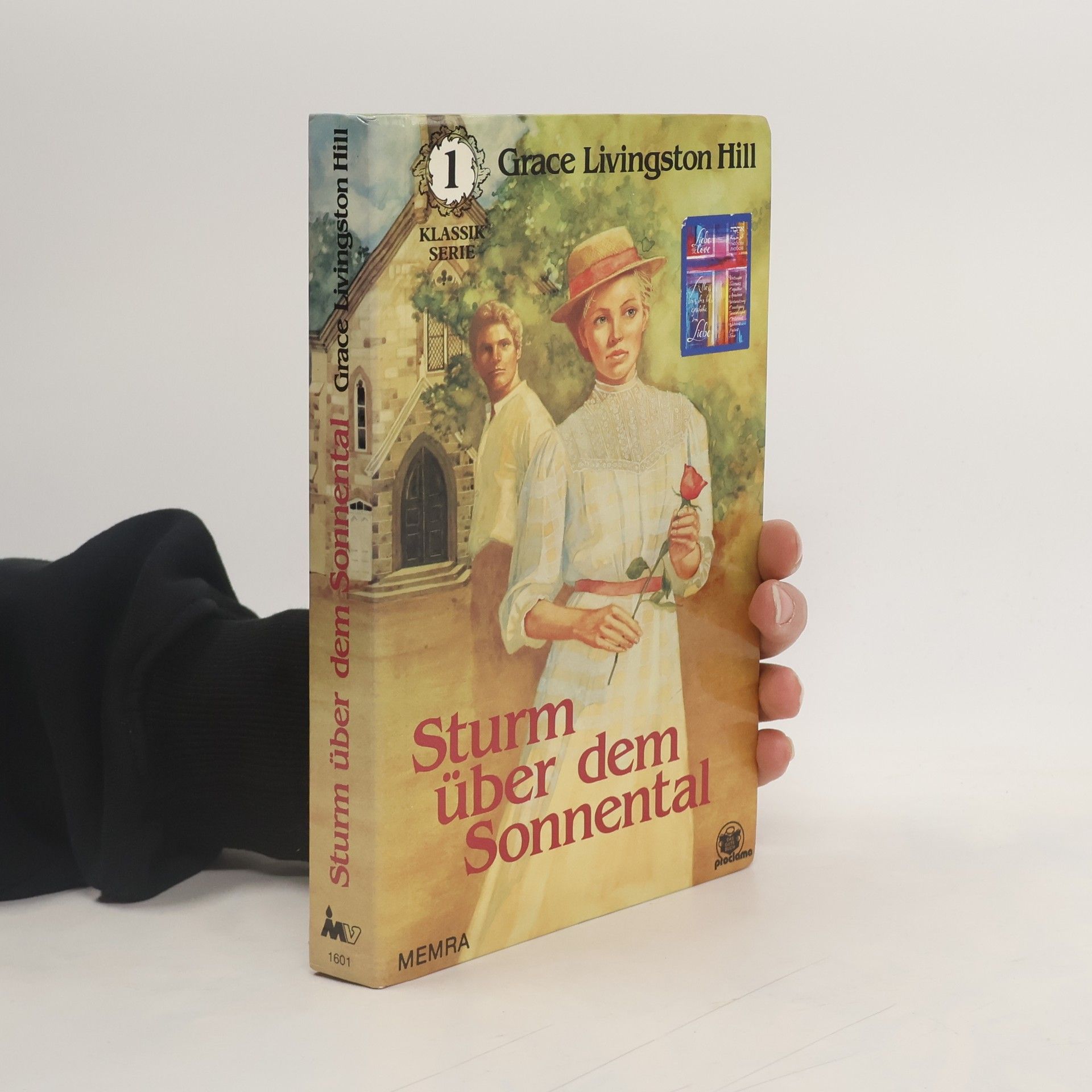 Sturm über dem Sonnental