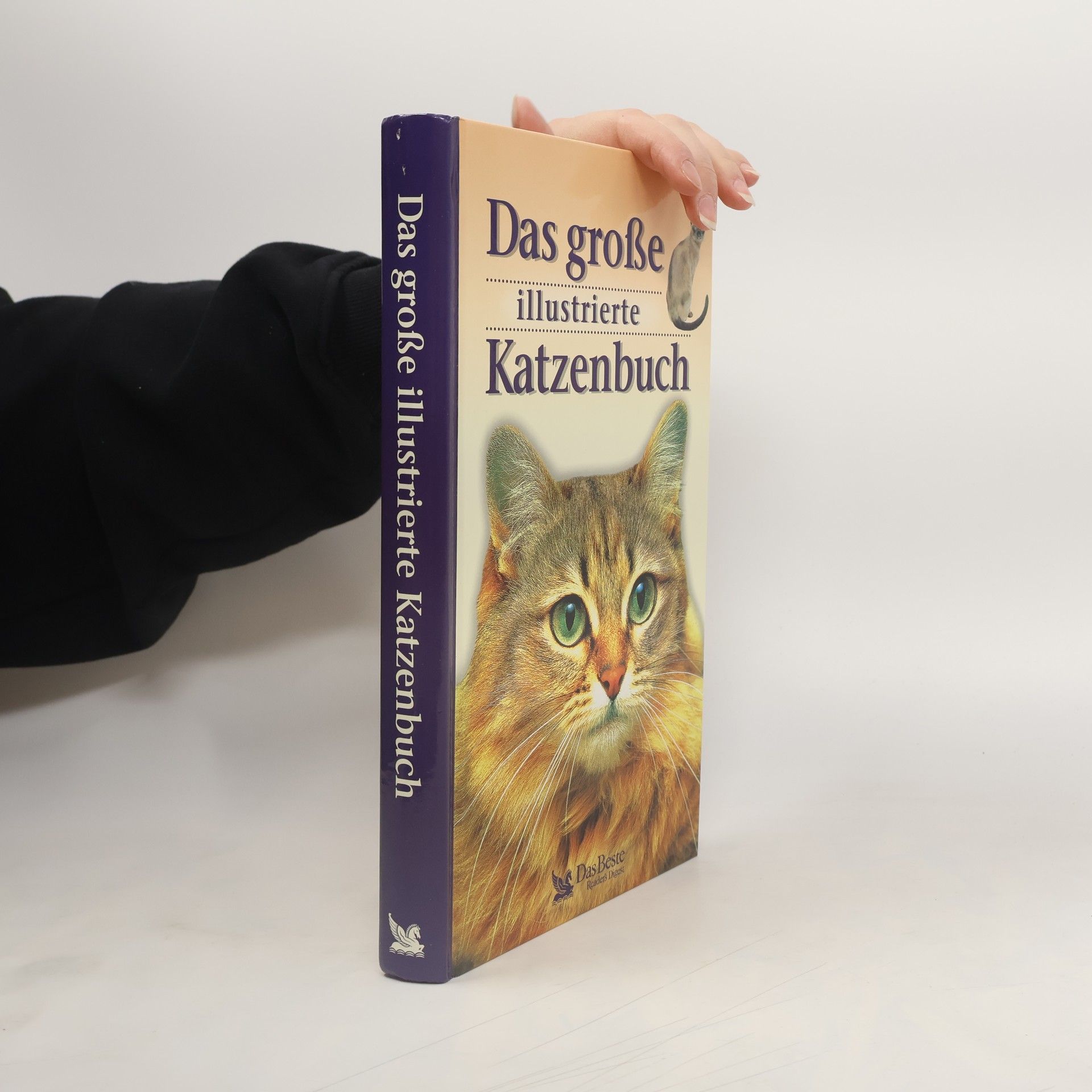 Autorenkollektiv Das große illustrierte Katzenbuch