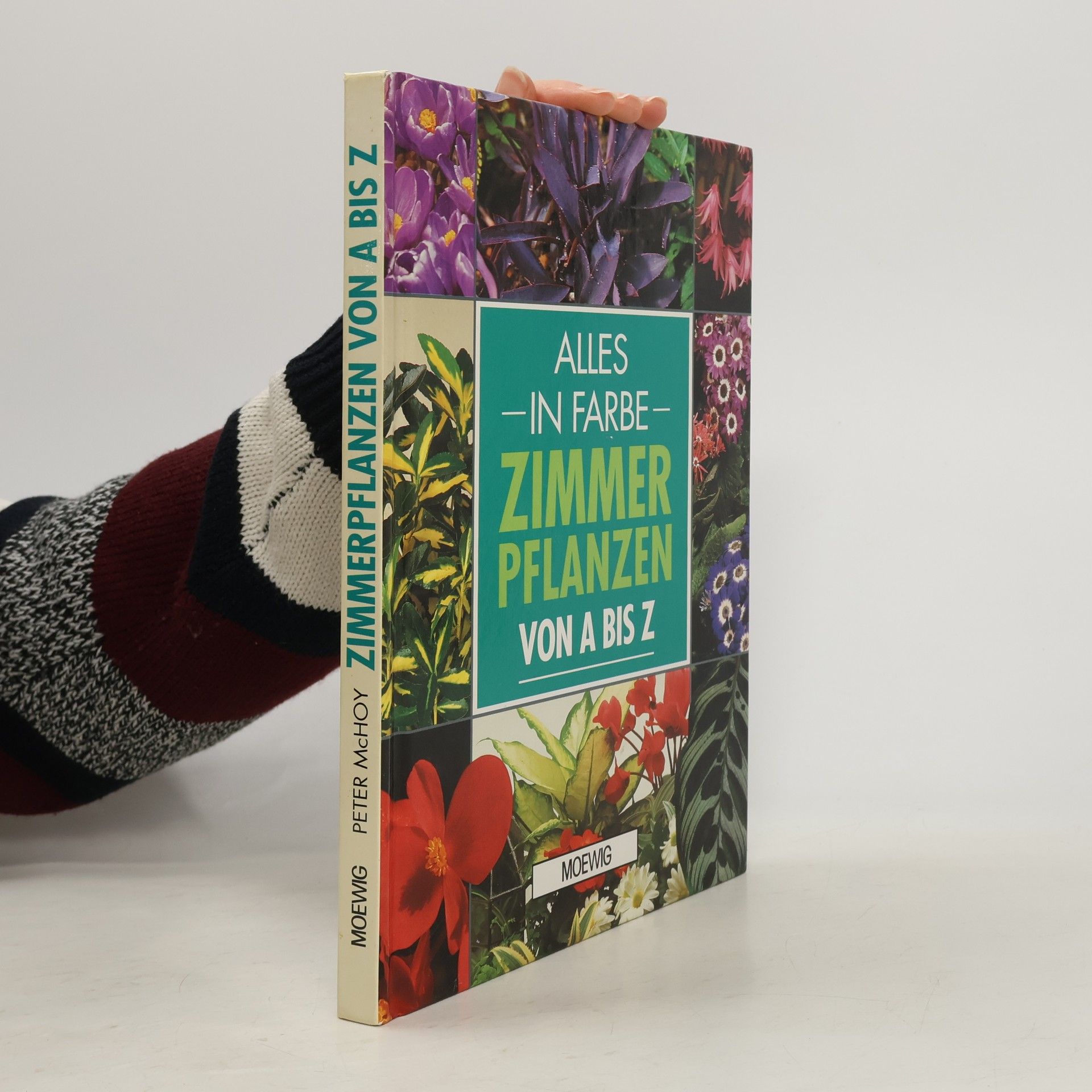 Zimmerpflanzen von A bis Z