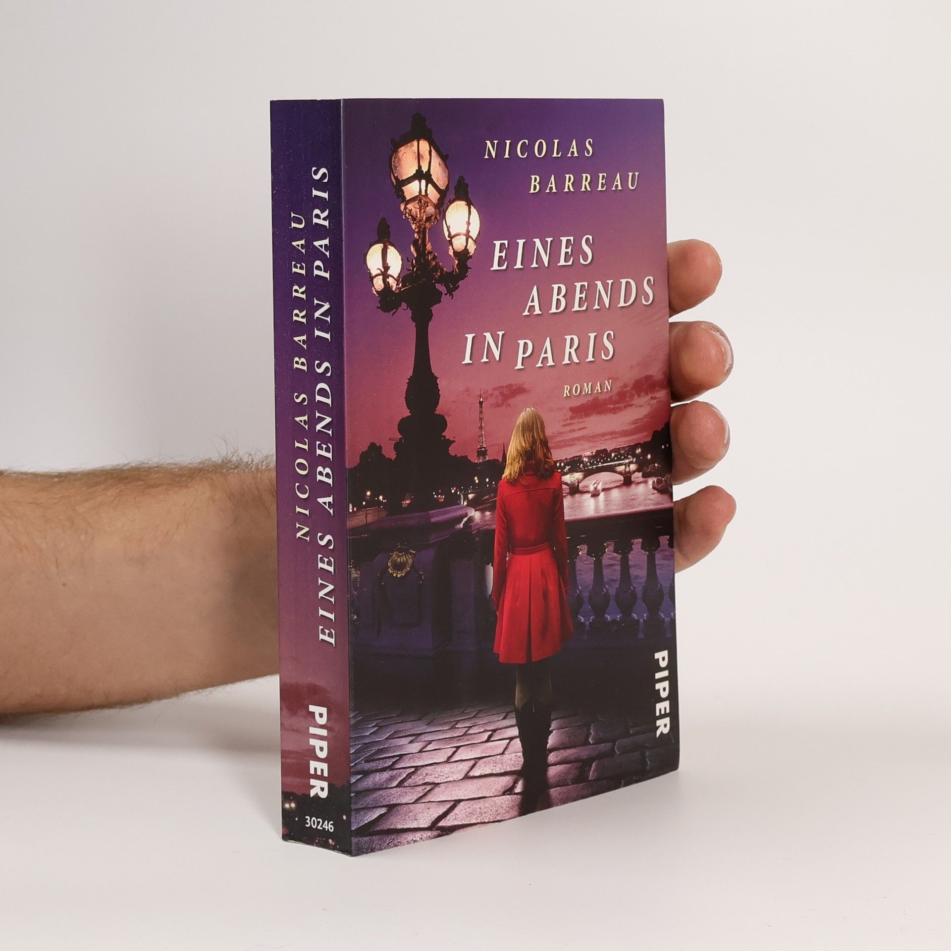 Nicolas Barreau Eines Abends in Paris