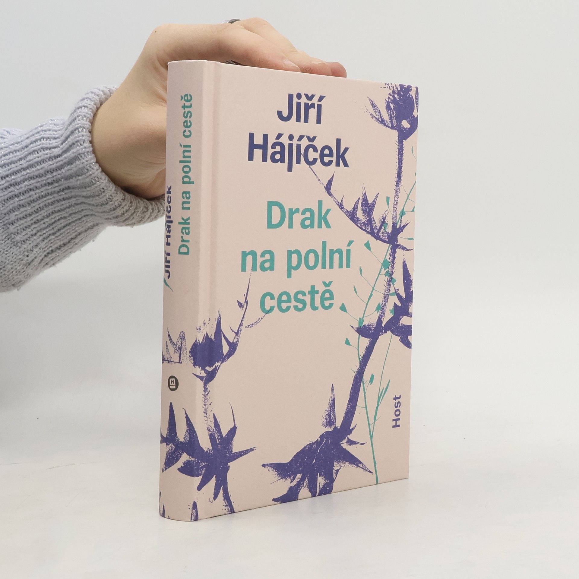 Jiří Hájíček Drak na polní cestě