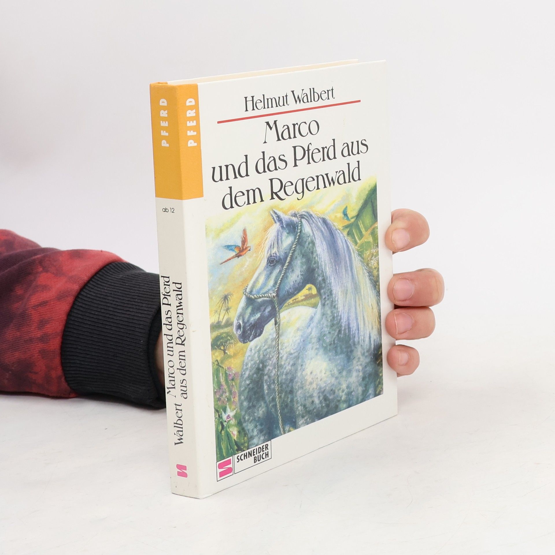 Marco und das Pferd aus dem Regenwald