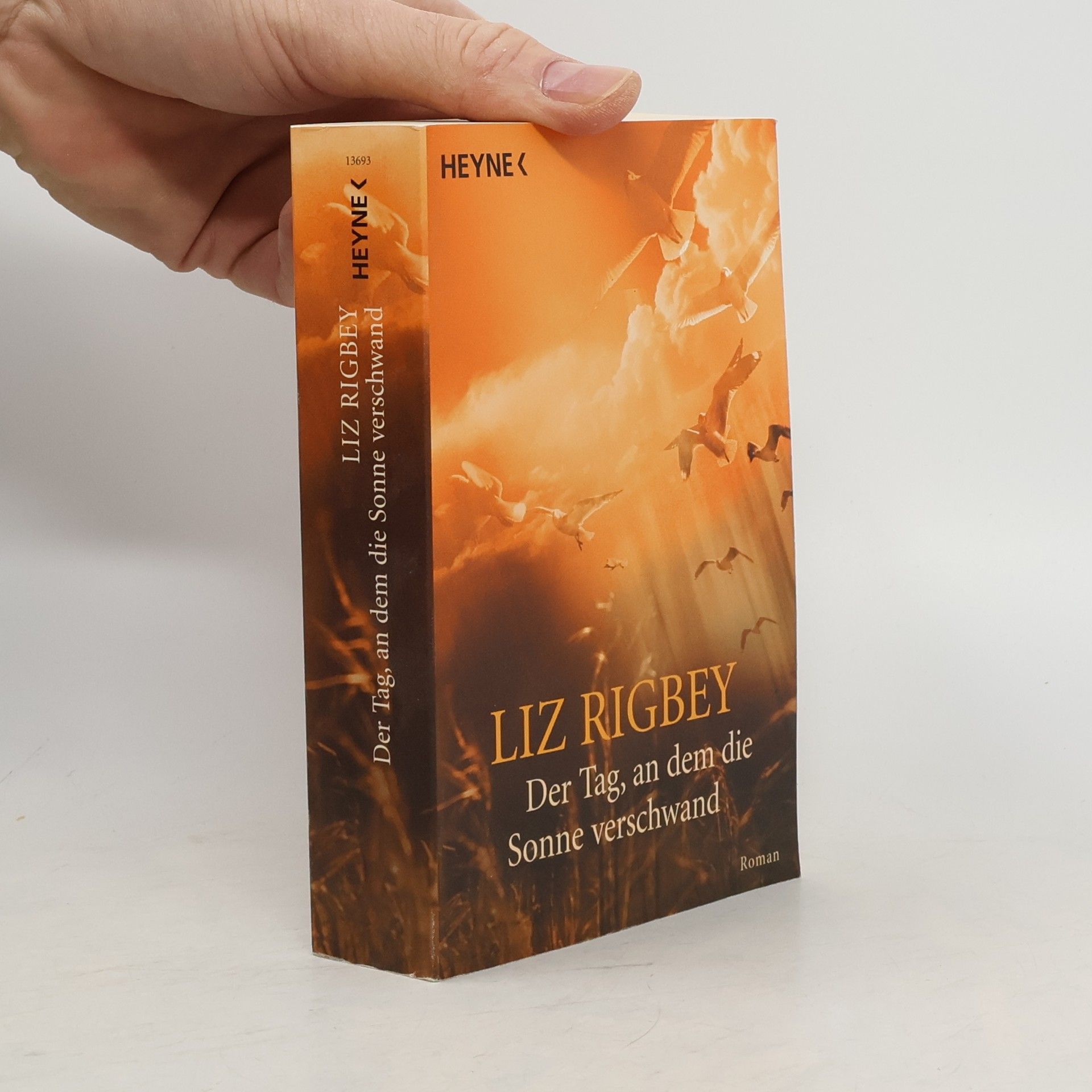 Liz Rigbey Der Tag, an dem die Sonne verschwand