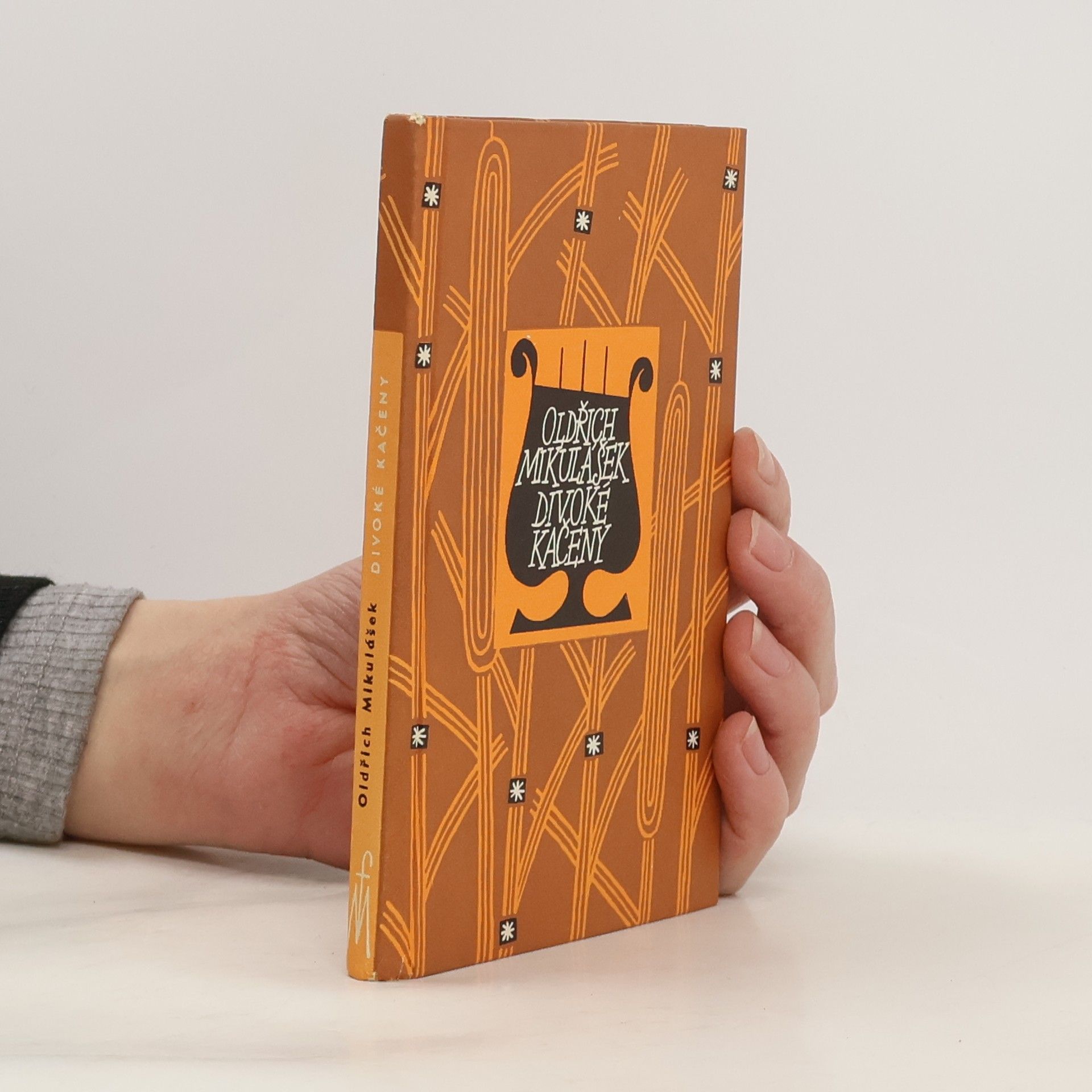 Oldřich Mikulášek Divoké kačeny