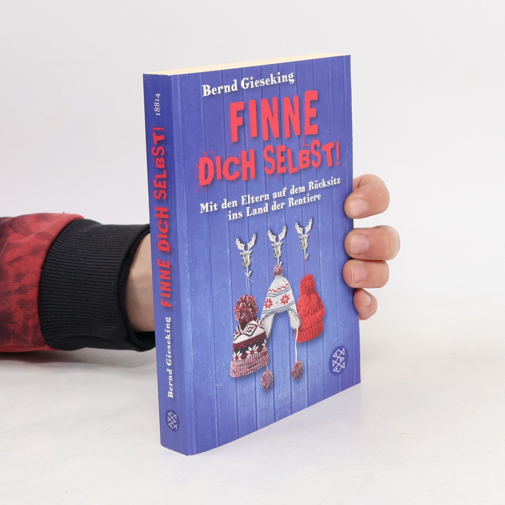 Bernd Gieseking Finne dich selbst!