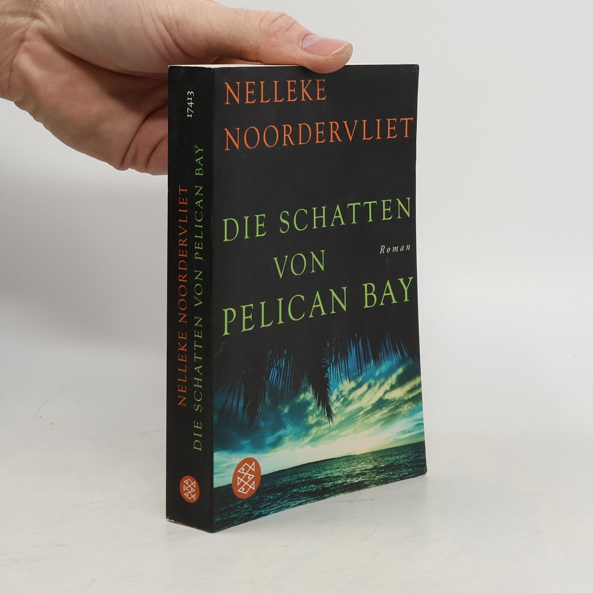 Nelleke Noordervliet Die Schatten von Pelican Bay