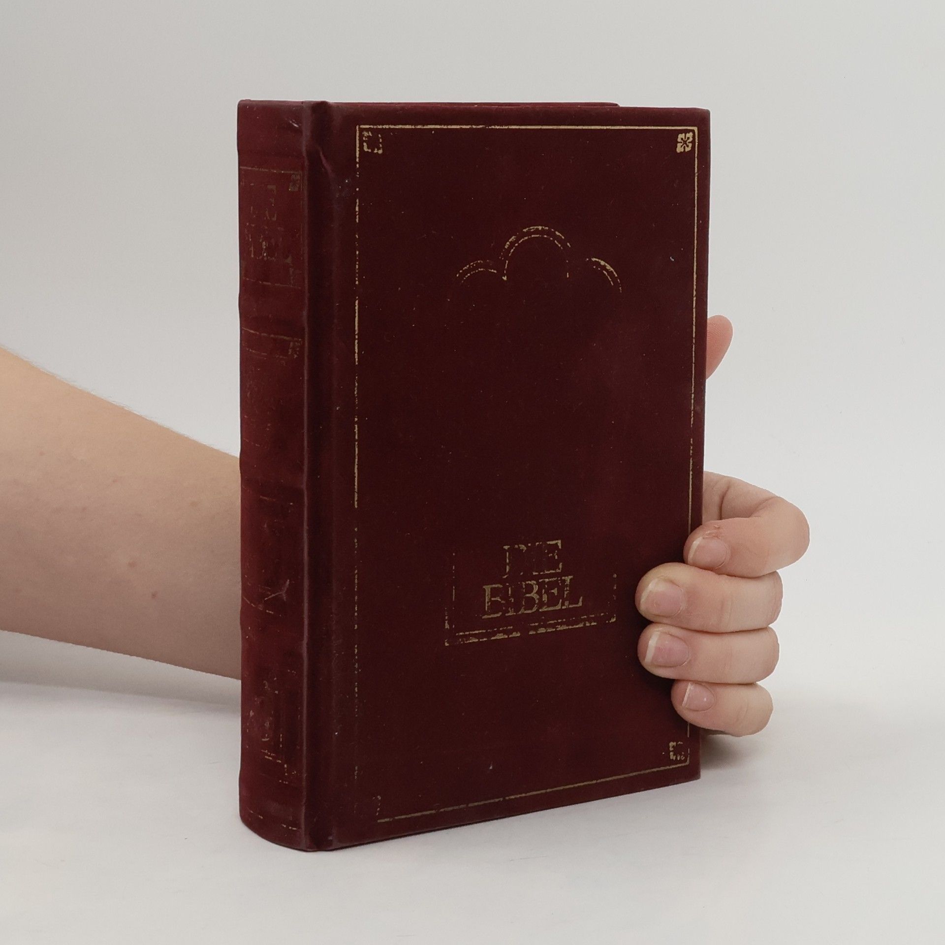 Collectif d'auteurs Die Bibel. Die Heilige Schrift des alten und Neuen Testaments