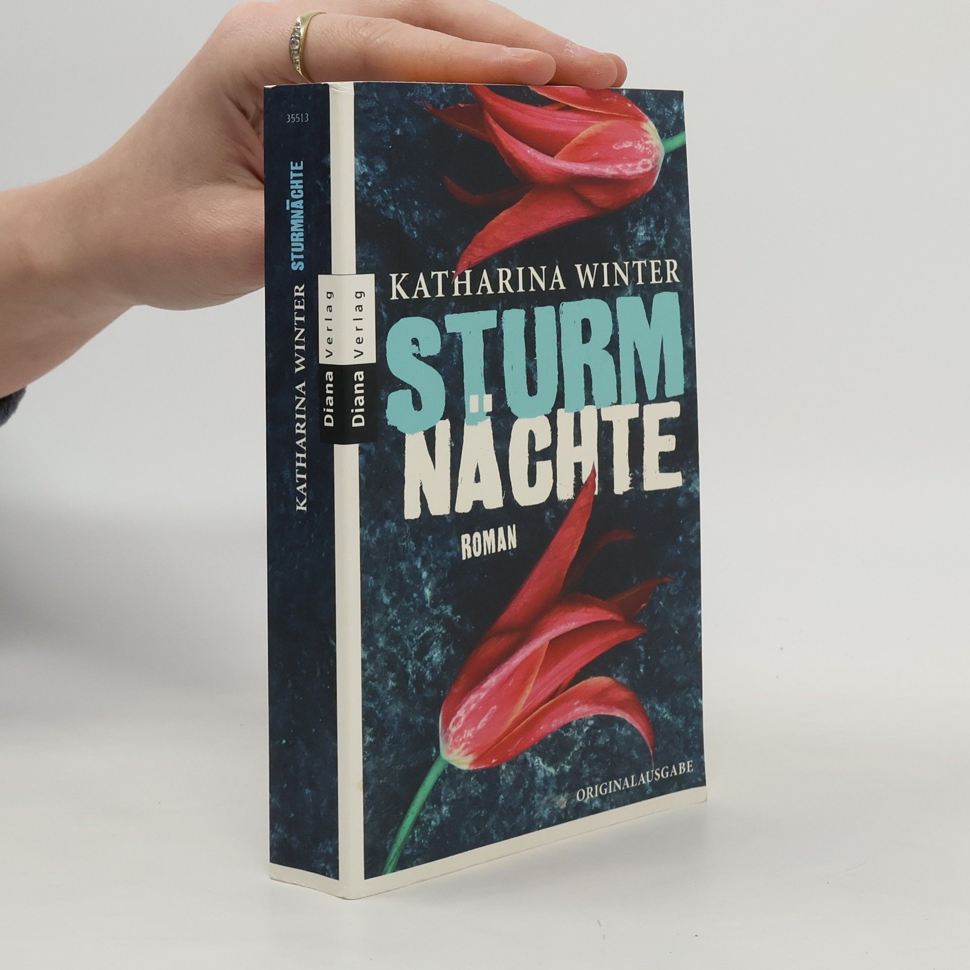Katharina Winter Sturmnächte. Roman