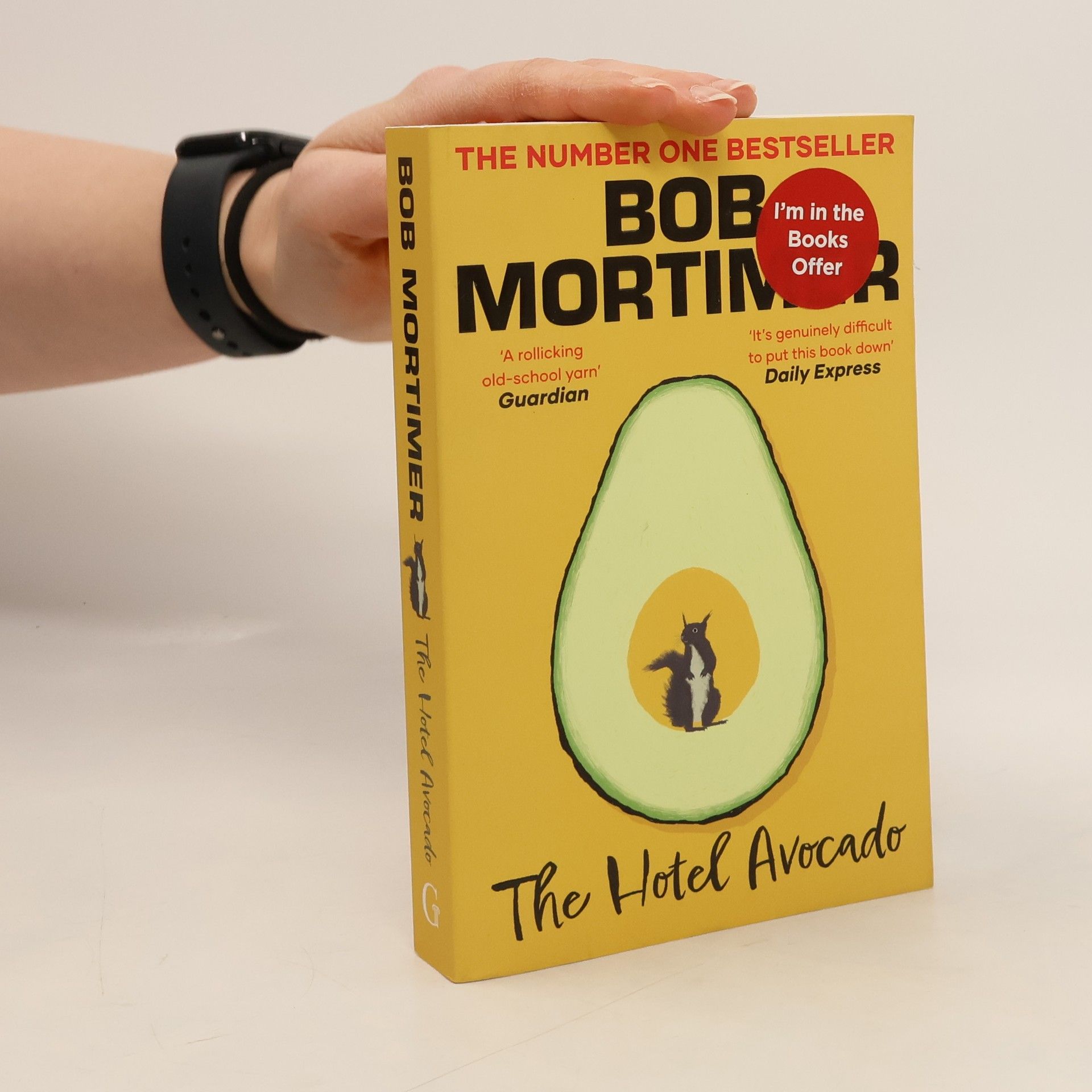 Bob Mortimer The Hotel Avocado