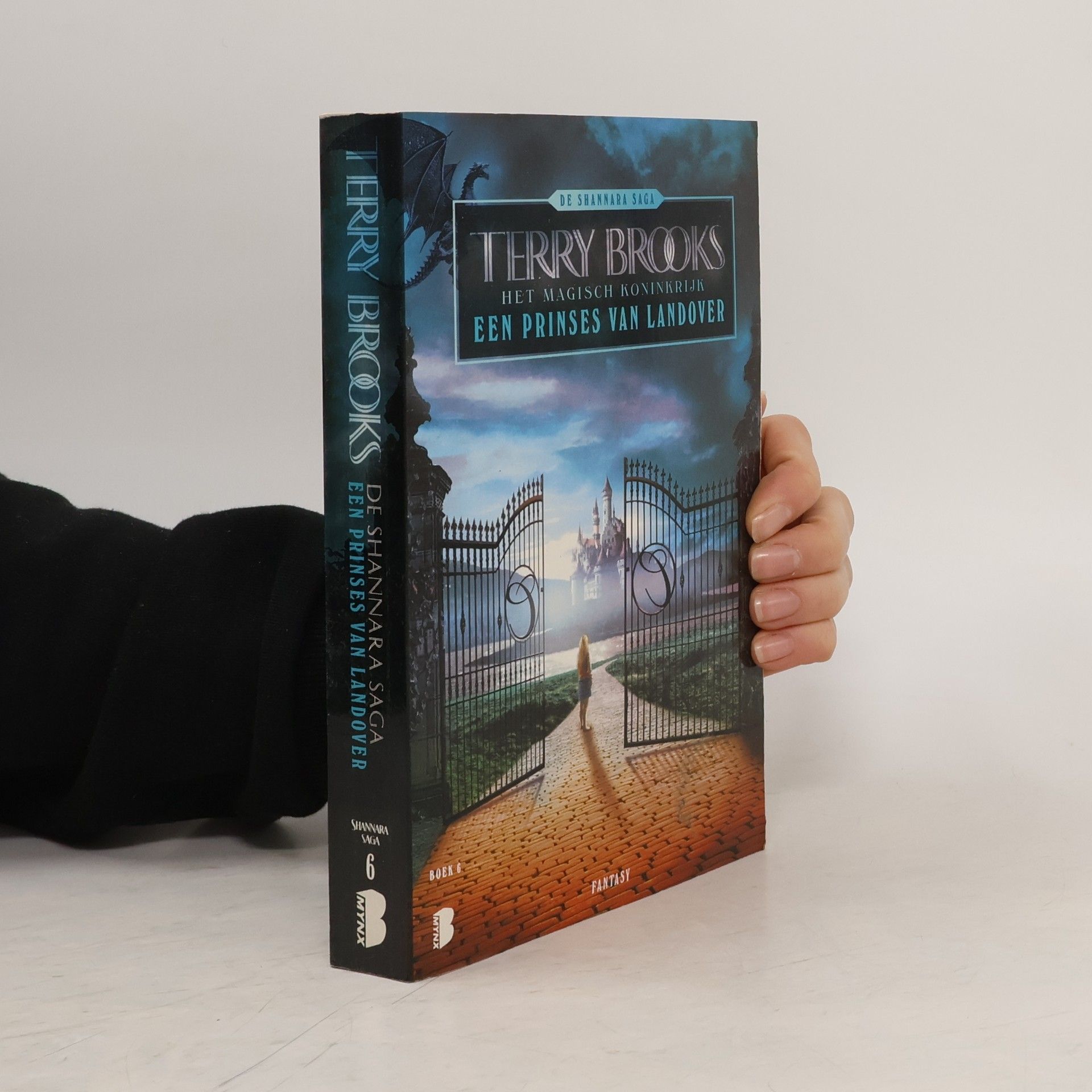 Terry Brooks Het magisch koninkrijk - 6: Prinses van Landover