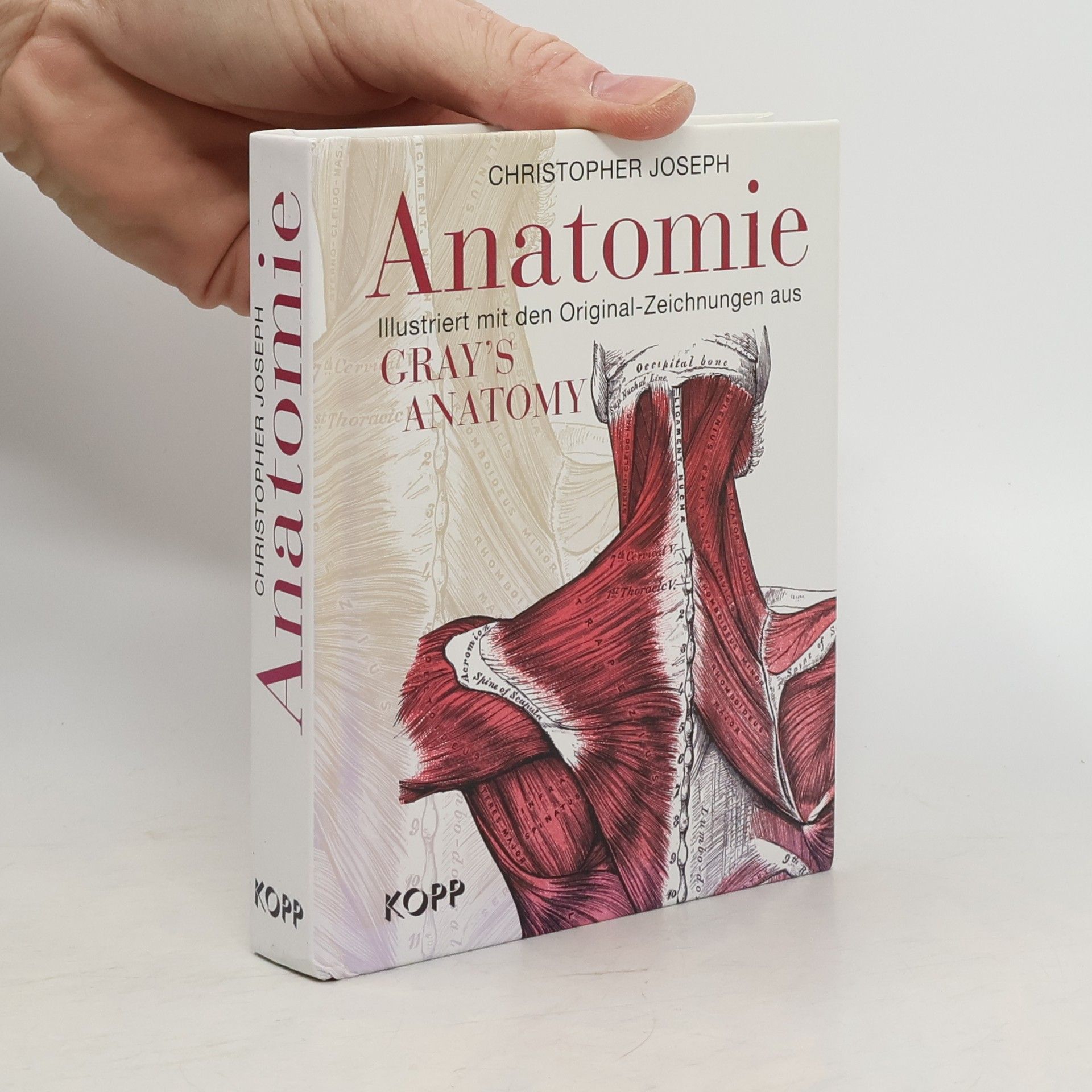 Christopher Joseph Anatomie. Ilustriert mit den Original-Zeichnungen aus Gray's Anatomy