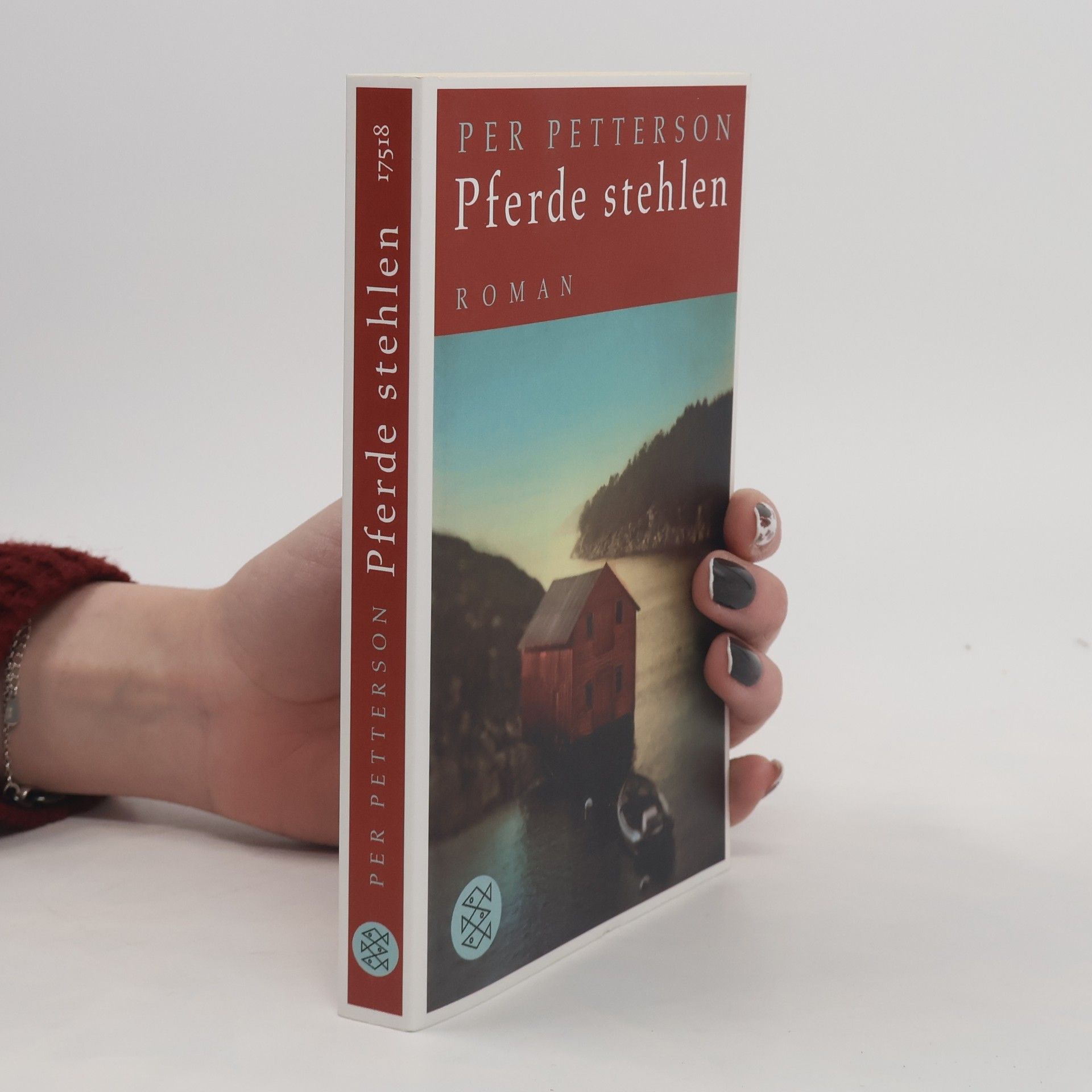 Per Petterson Pferde stehlen