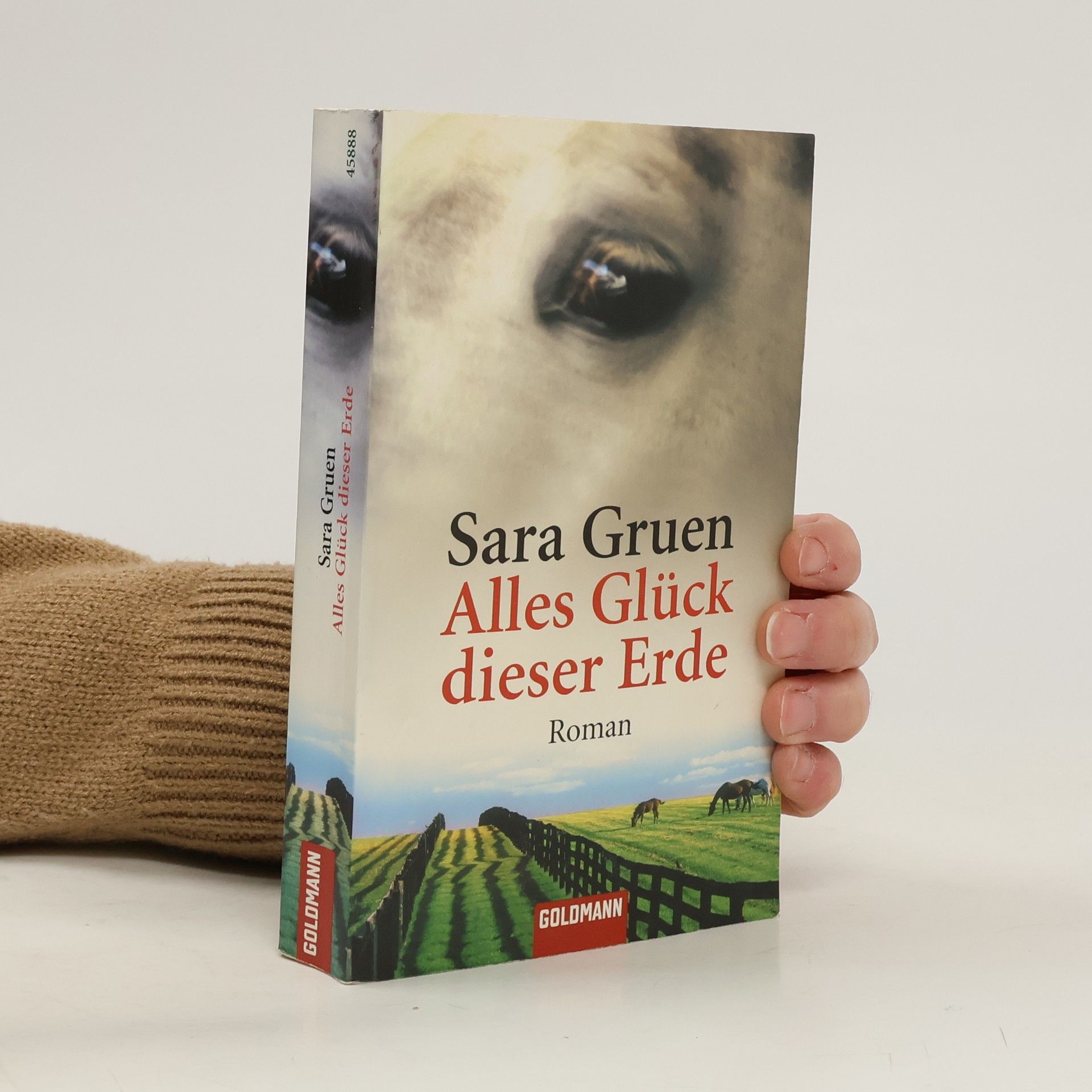 Sara Gruen Alles Glück dieser Erde