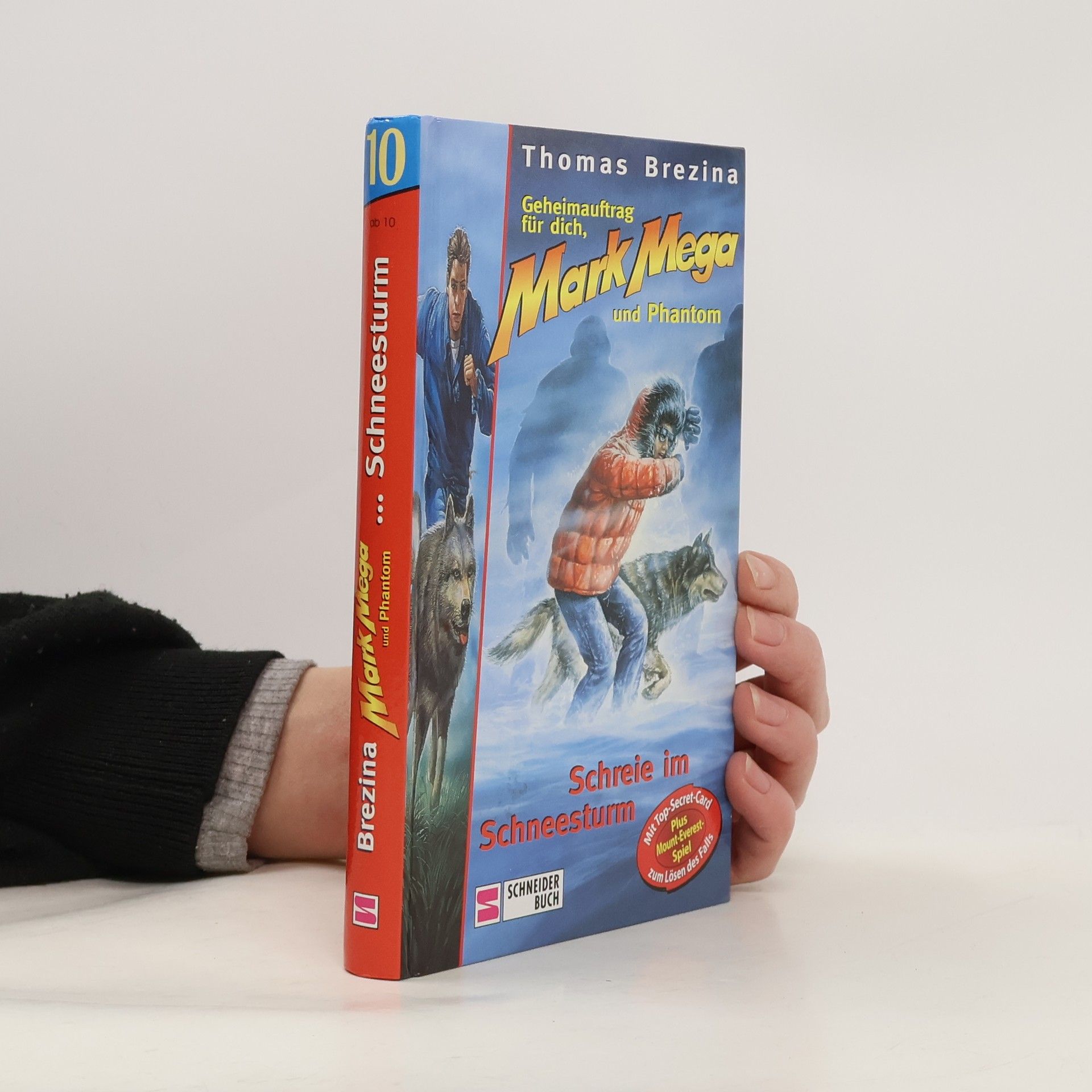 Geheimauftrag für dich, Mark Mega und Phantom - 10: Schreie im Schneesturm