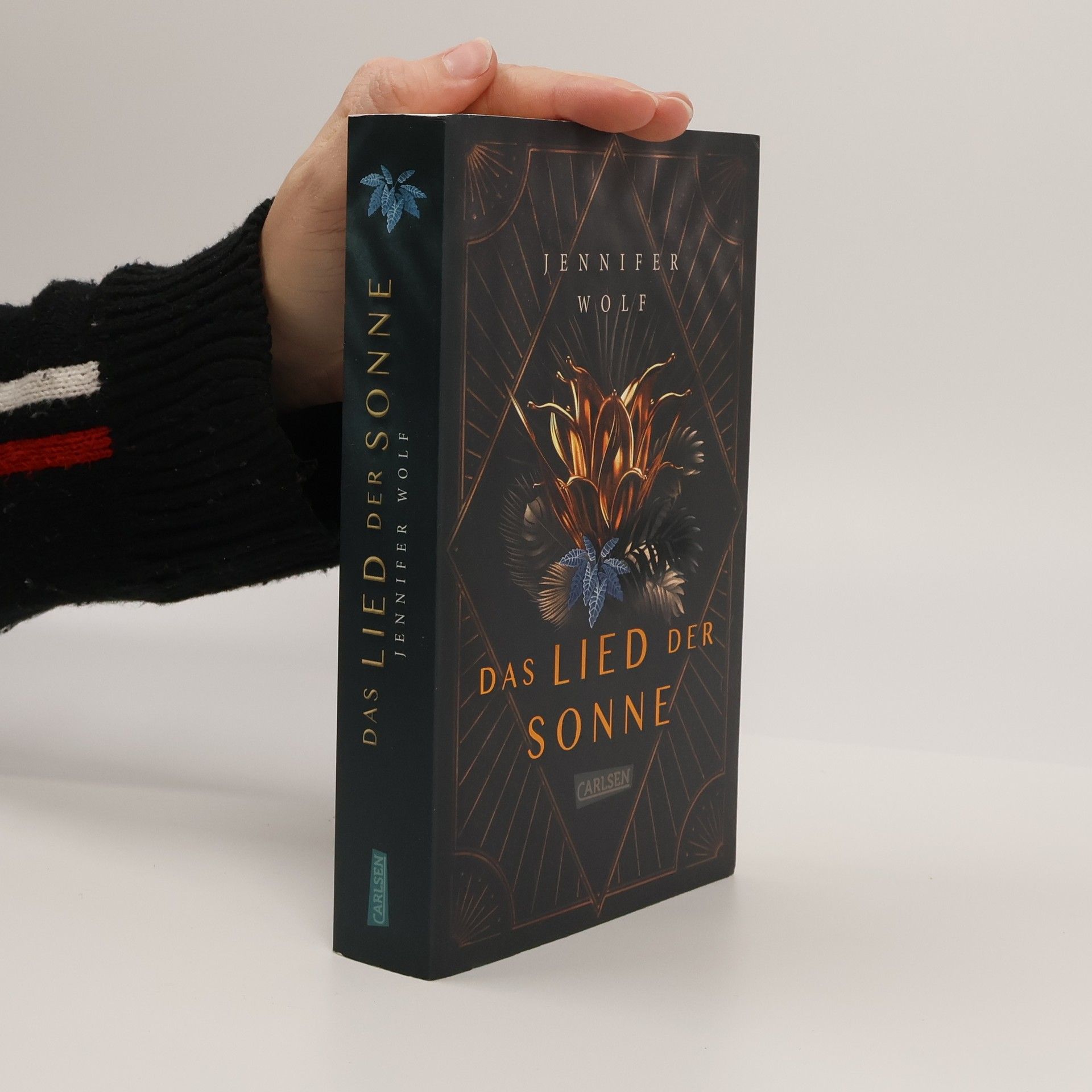 Jennifer Wolf Das Lied der Sonne