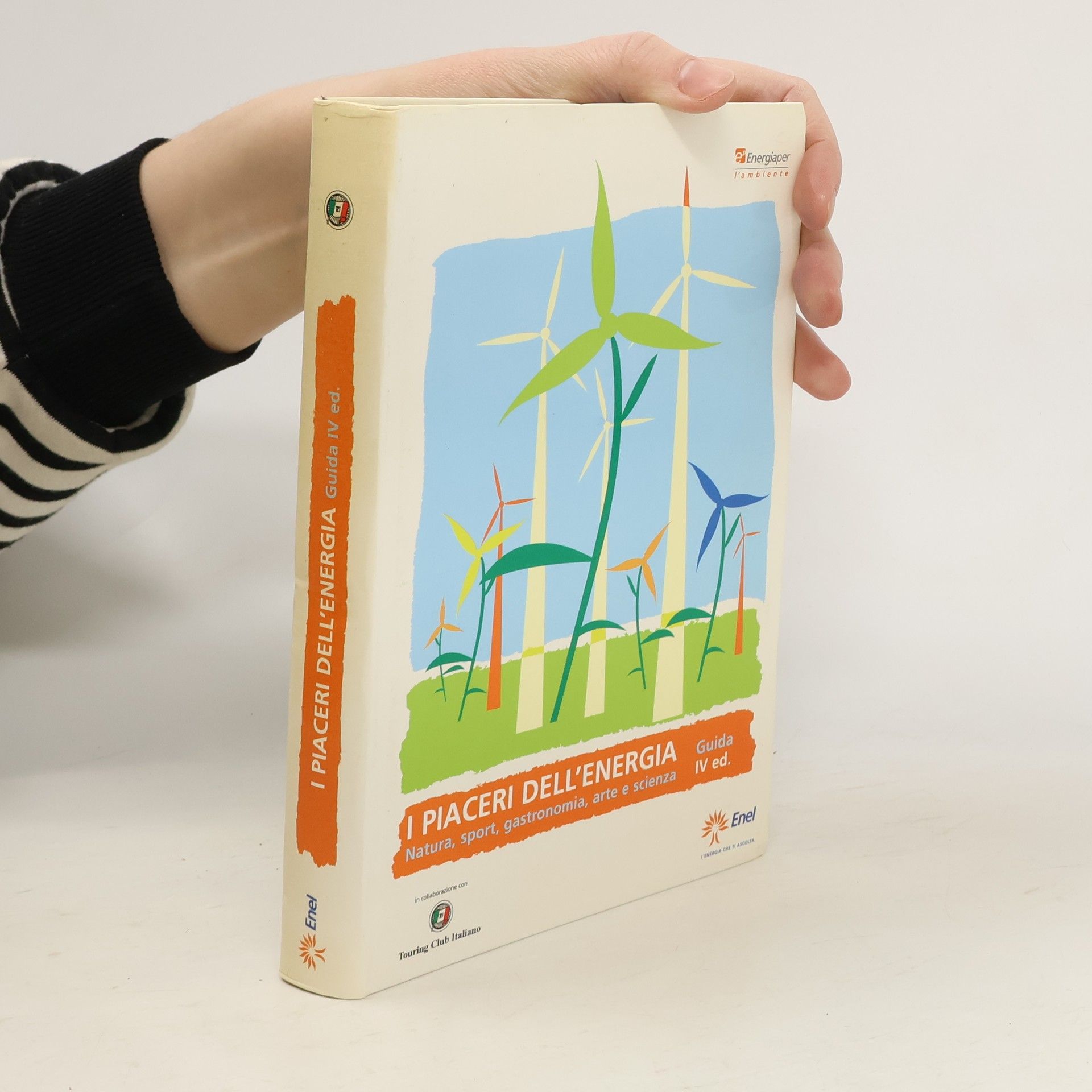 Kolektív autorov I piaceri dell´energia. IV.