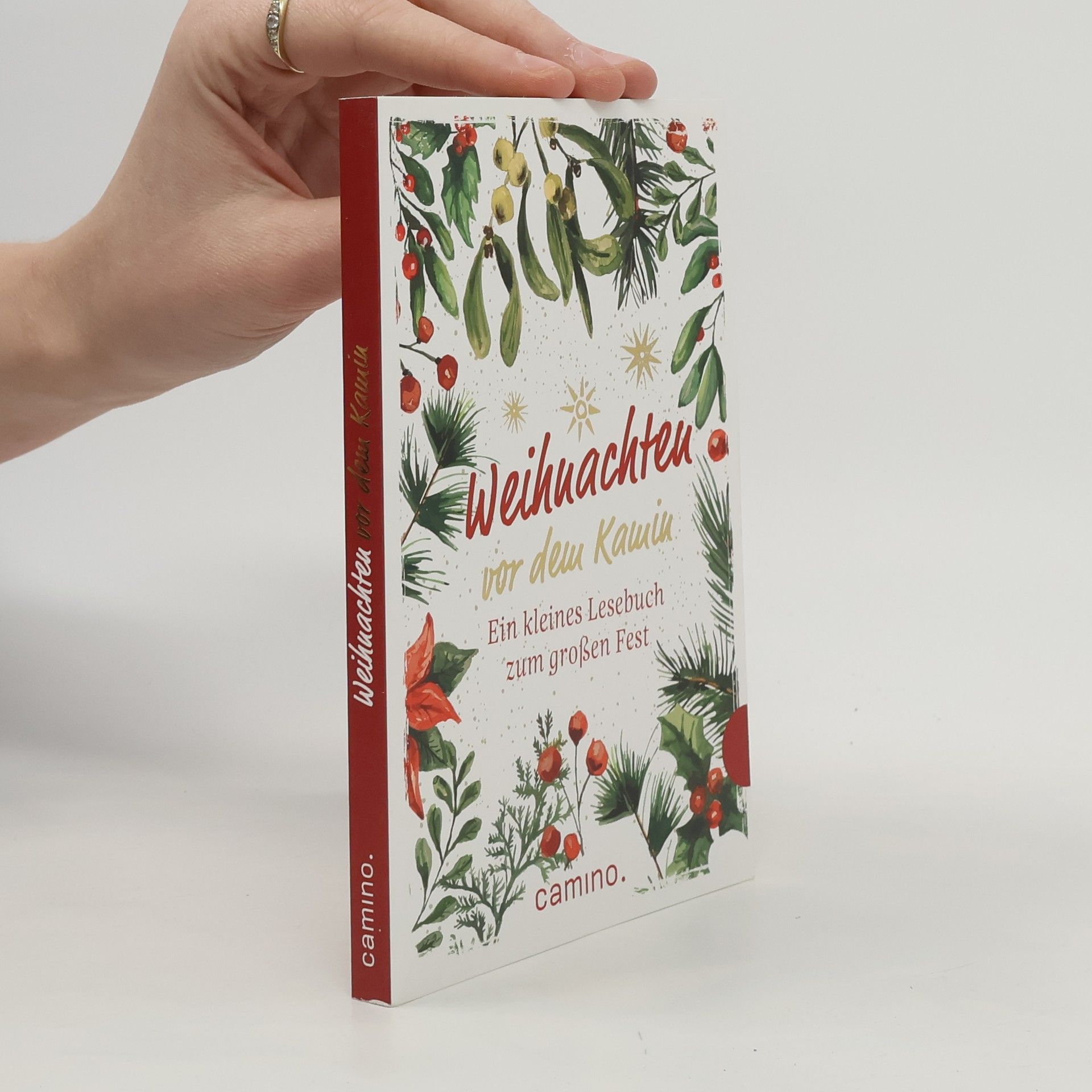 Autorenkollektiv Weihnachten vor dem Kamin