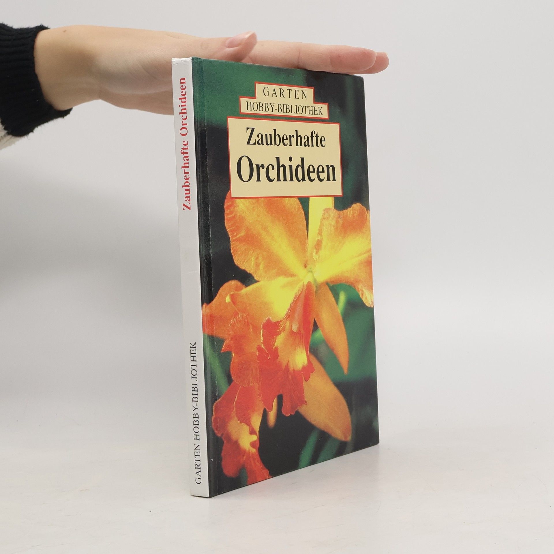Ute York Zauberhafte Orchideen