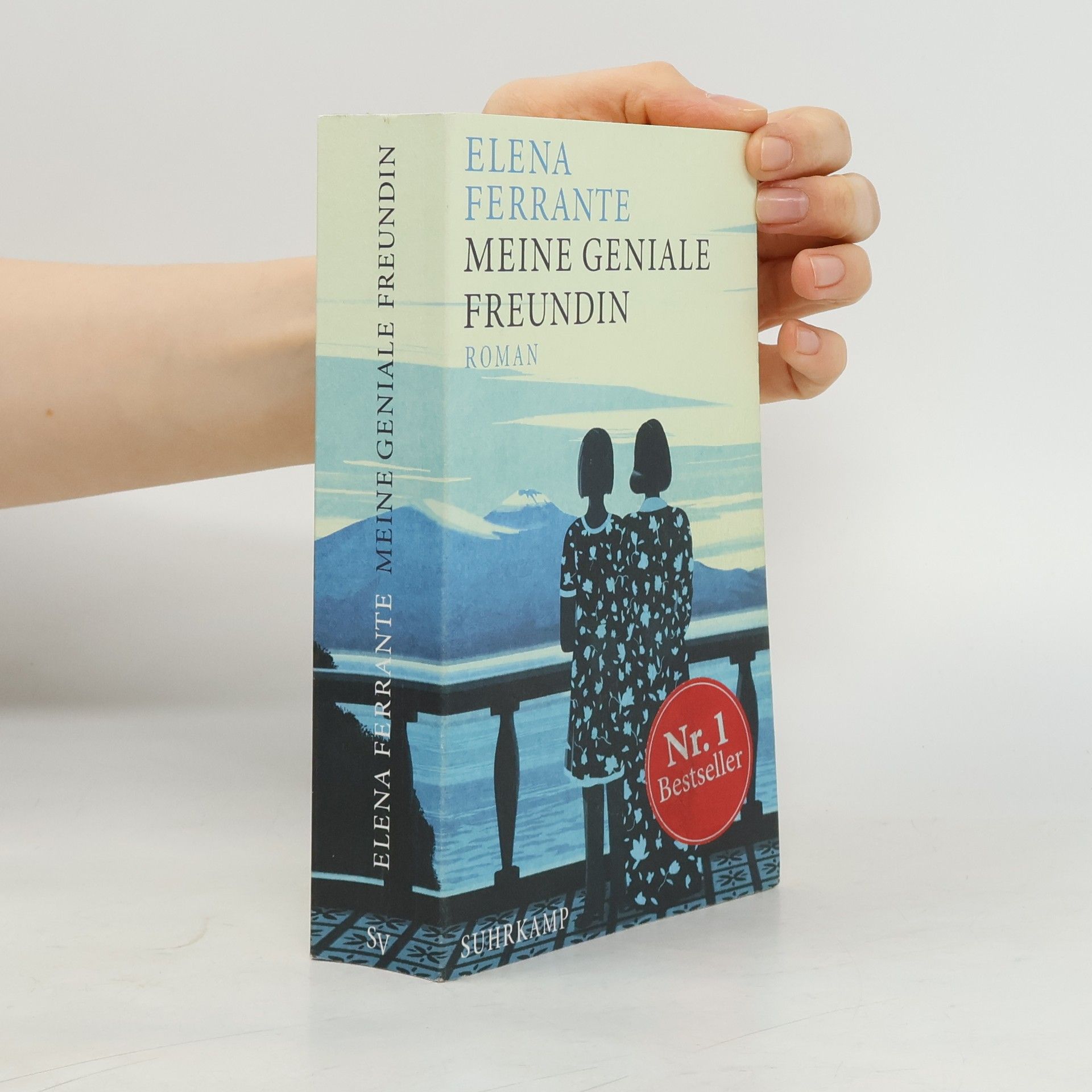 Elena Ferrante Meine geniale Freundin