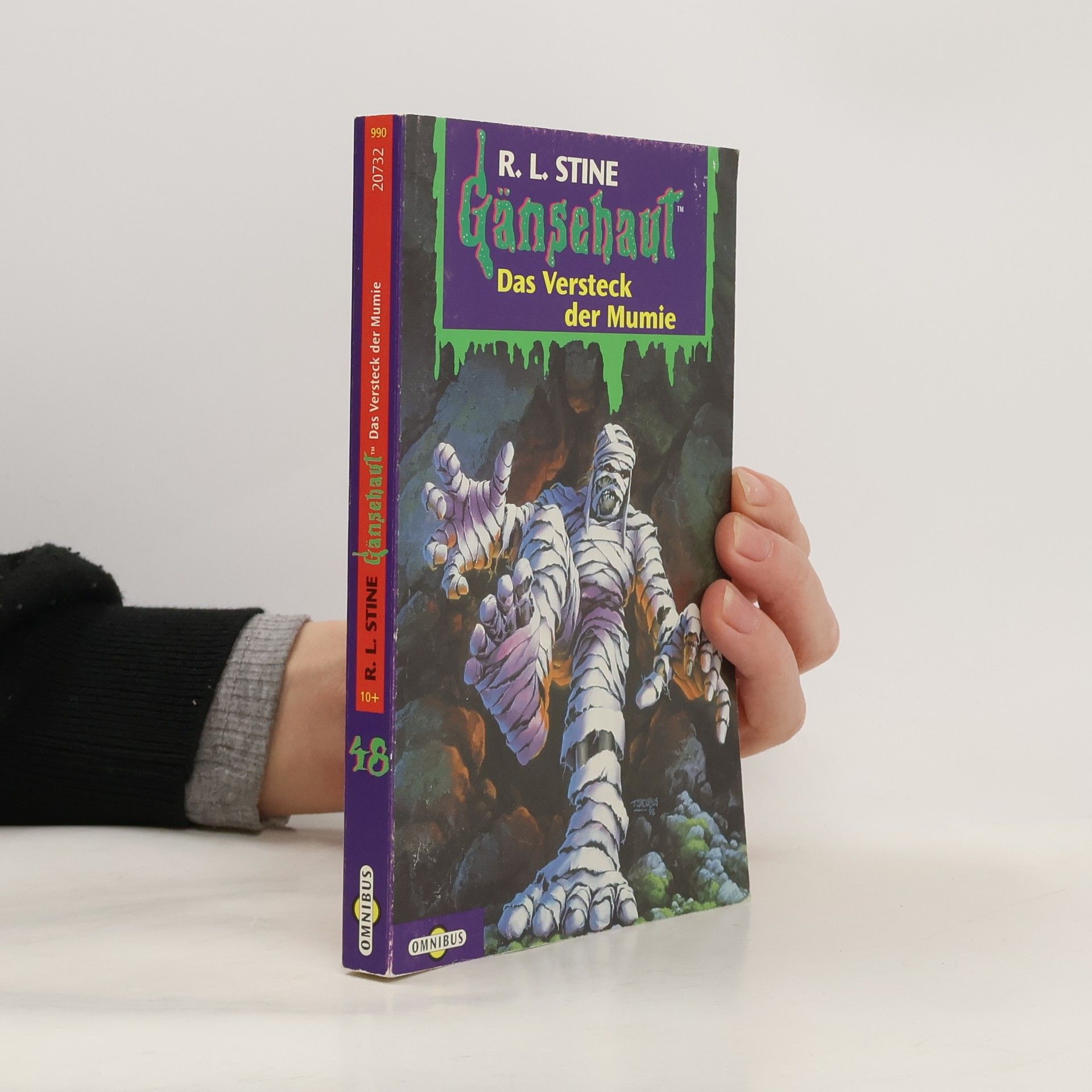 R. L. Stine Gänsehaut 48. Das Versteck der Mumie