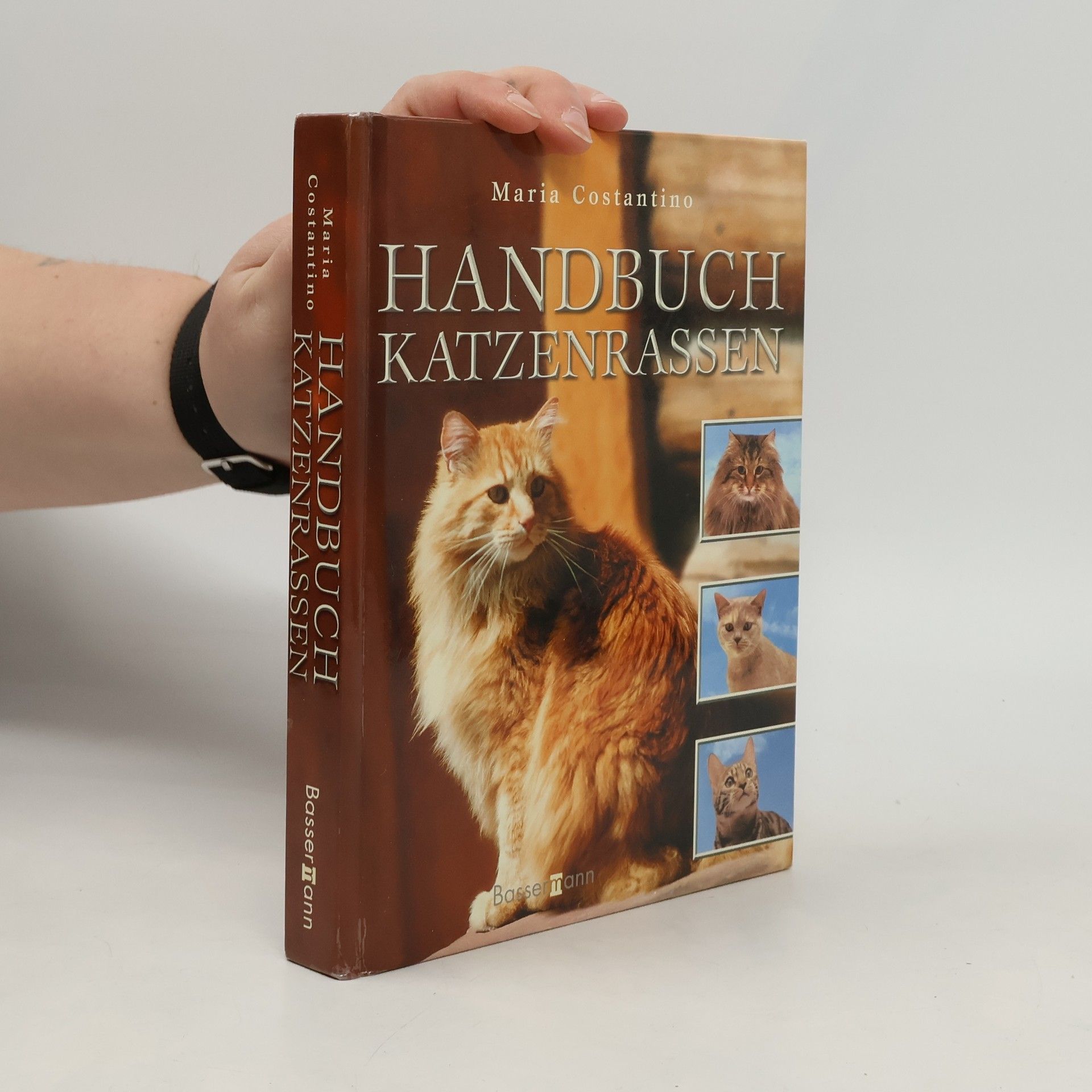 Handbuch Katzenrassen