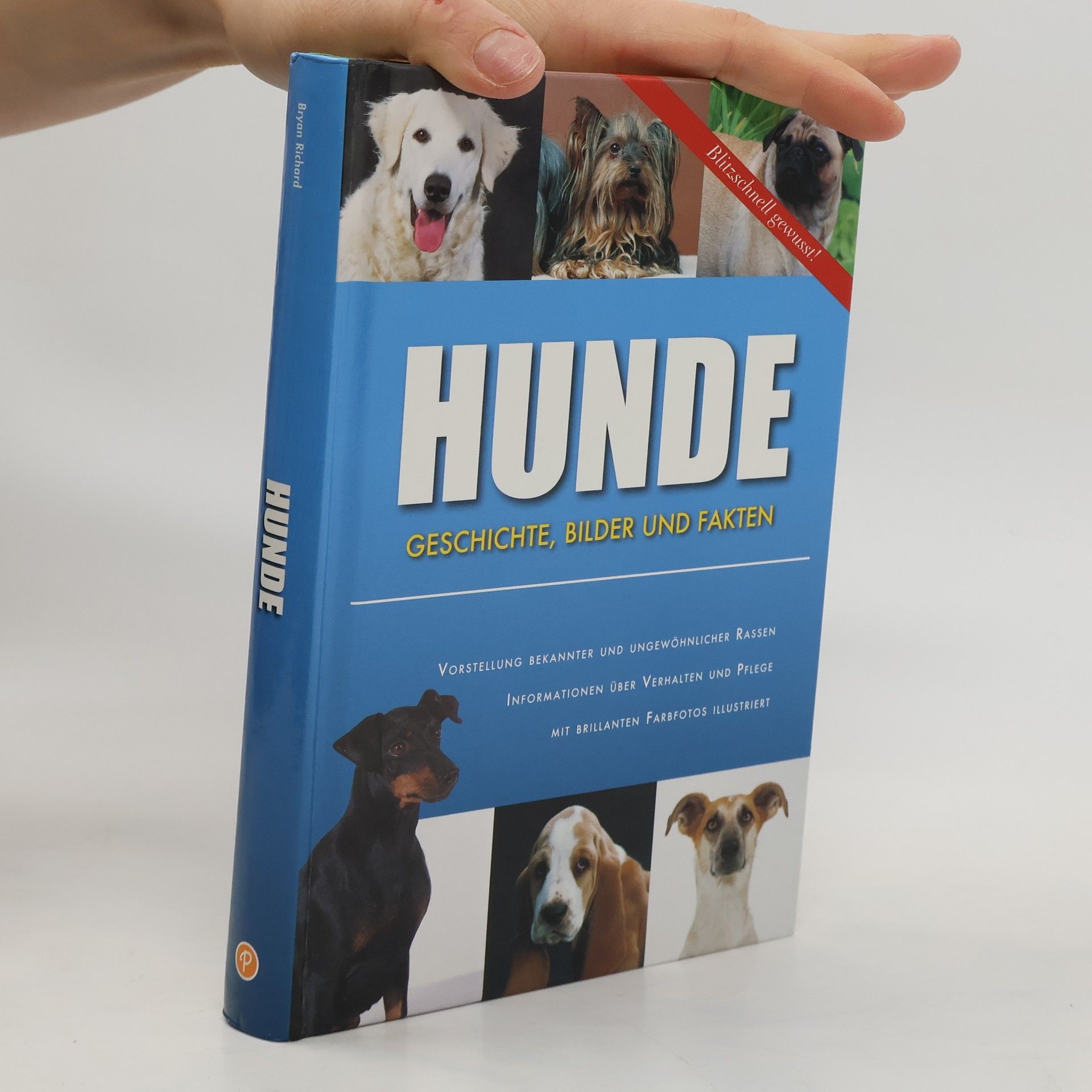 Autorenkollektiv Hunde