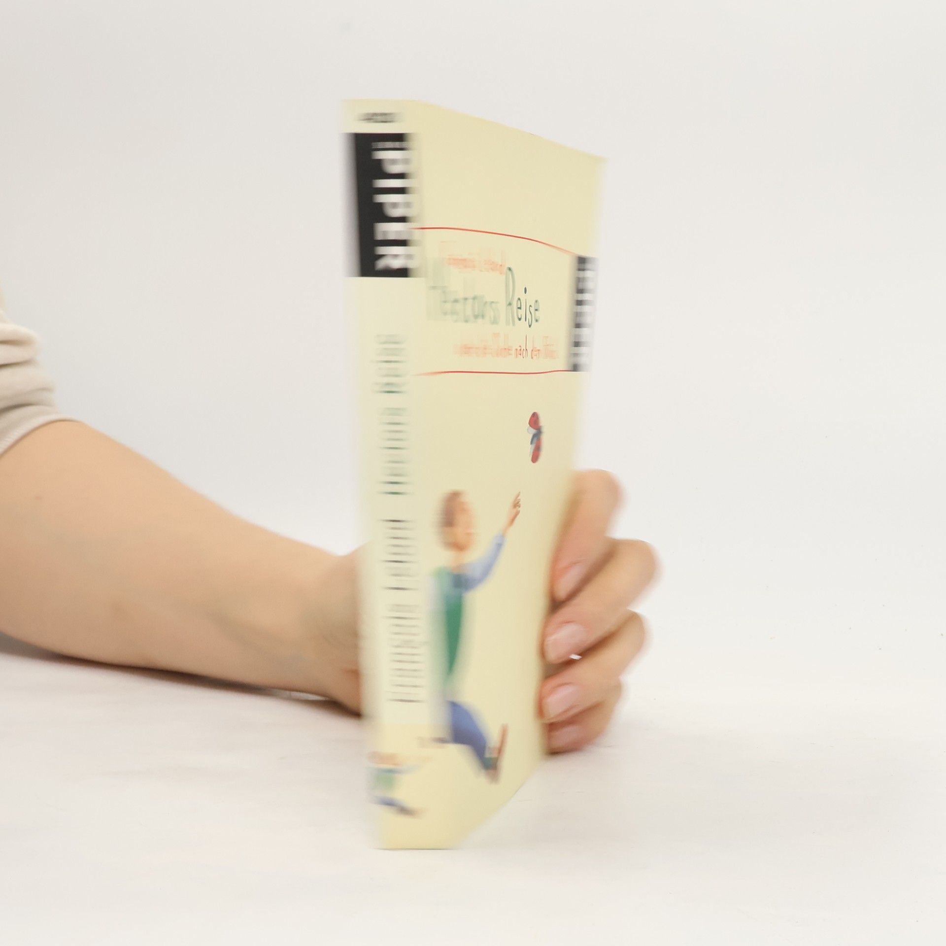 François Lelord Hectors Reise