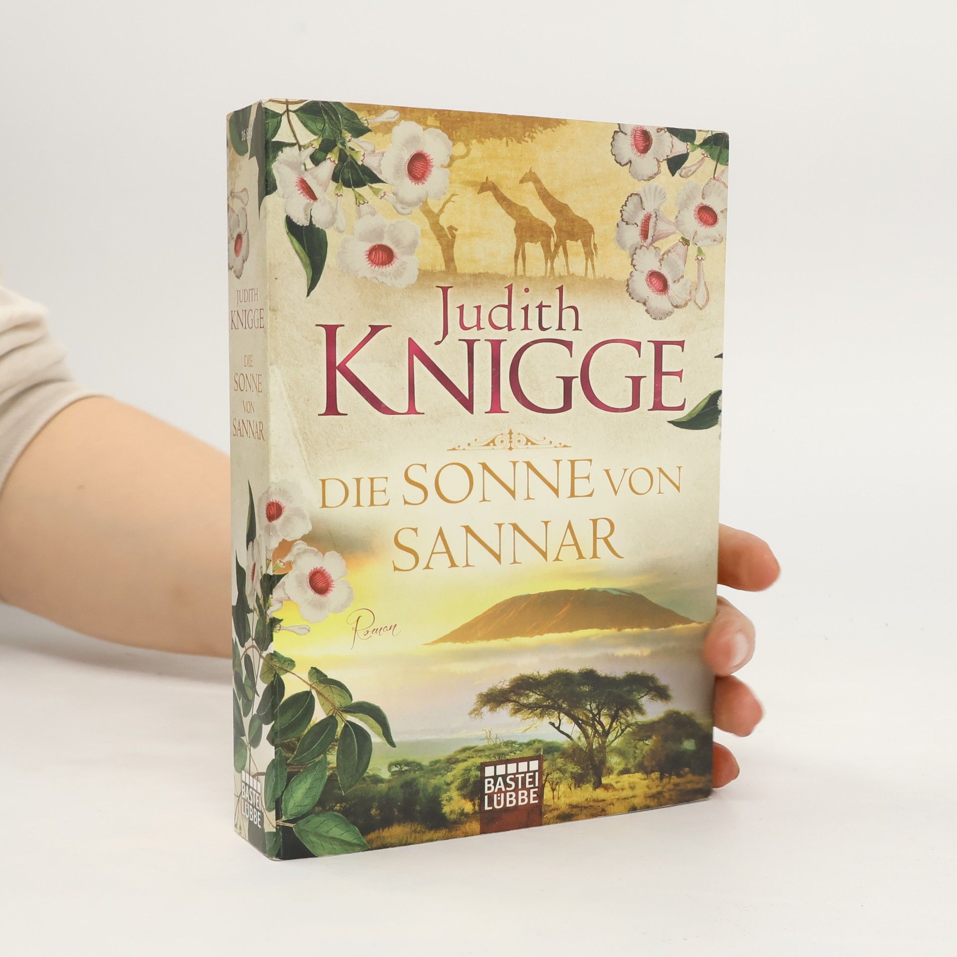 Die Sonne von Sannar