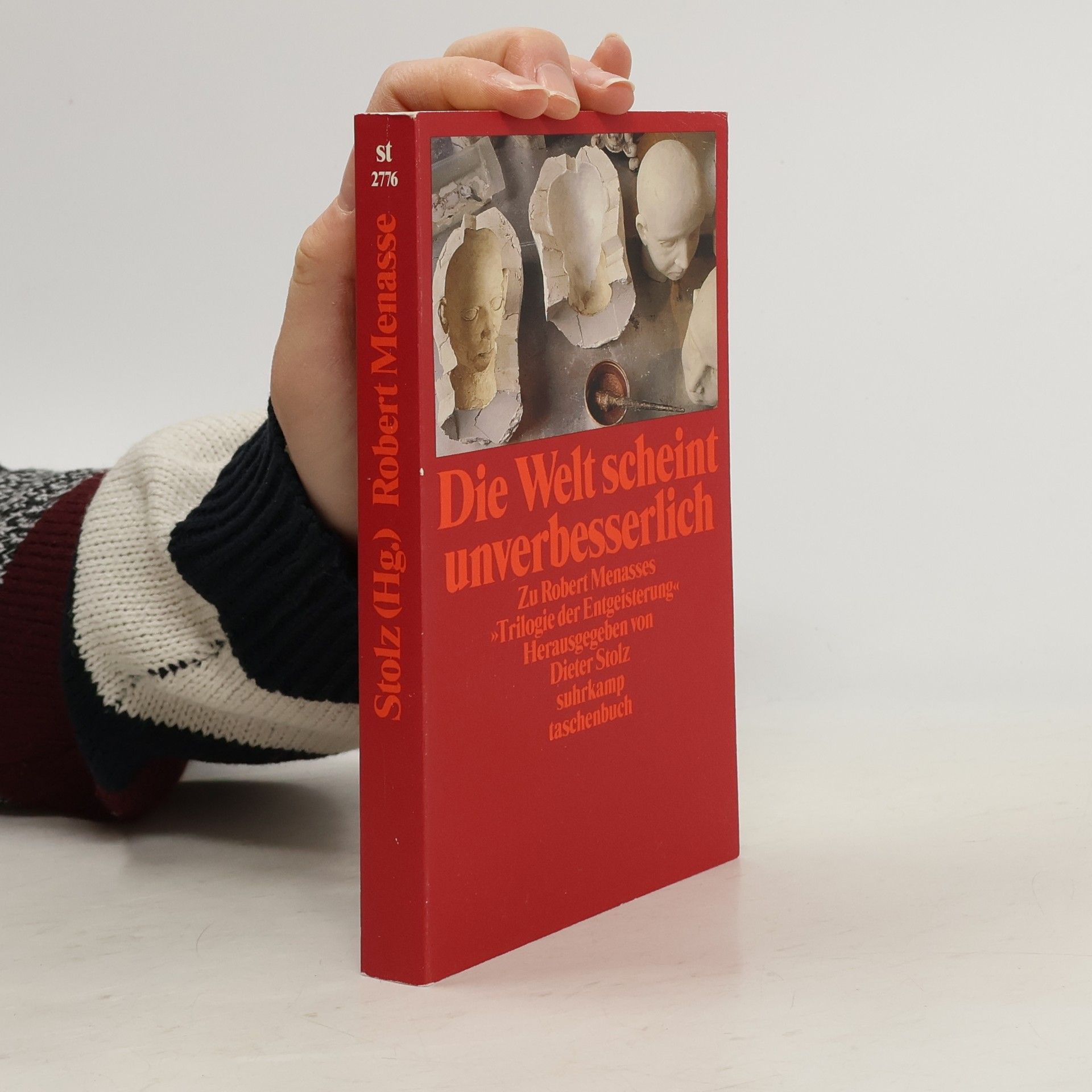 Dieter Stolz Die Welt scheint unverbesserlich