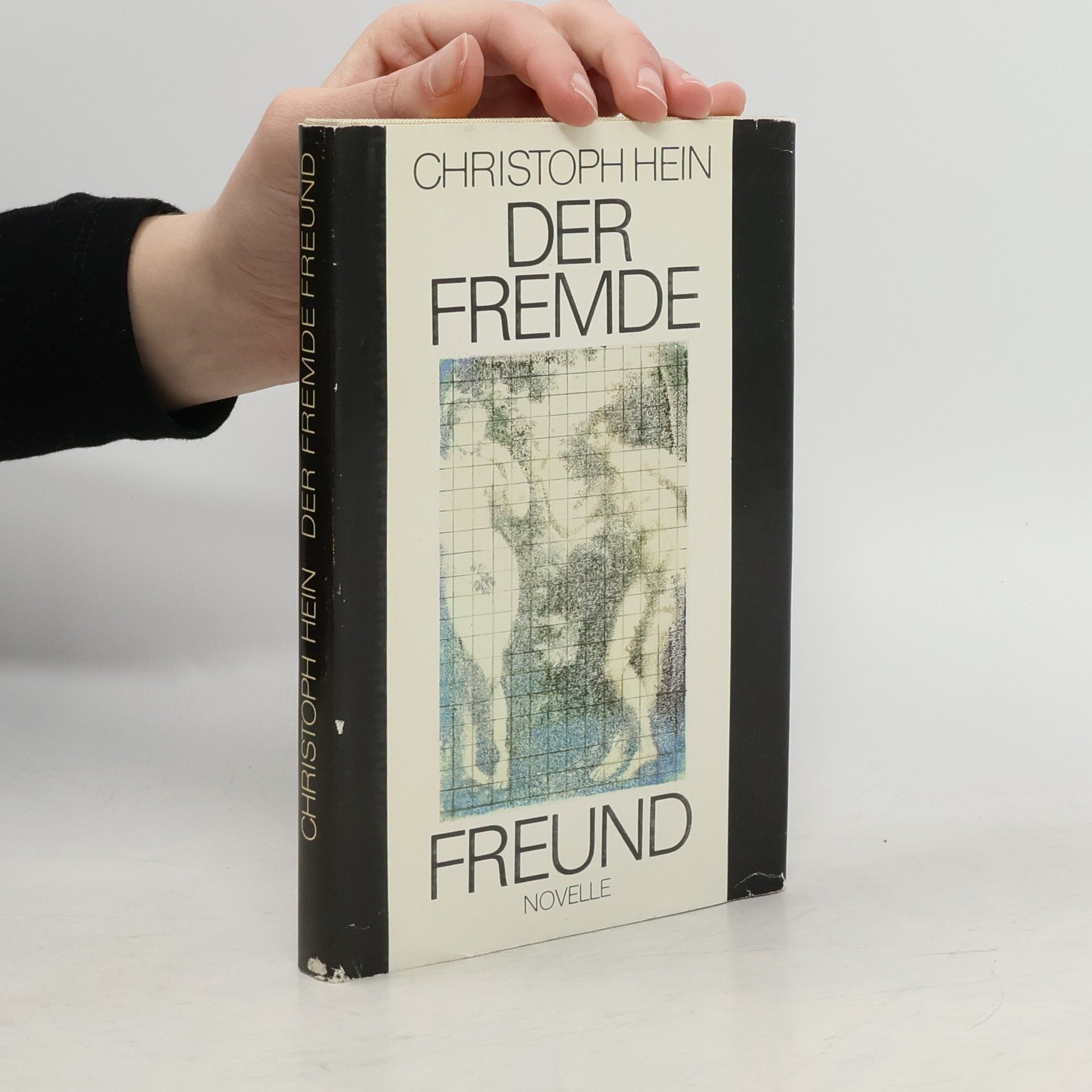 Christoph Hein Der fremde Freund