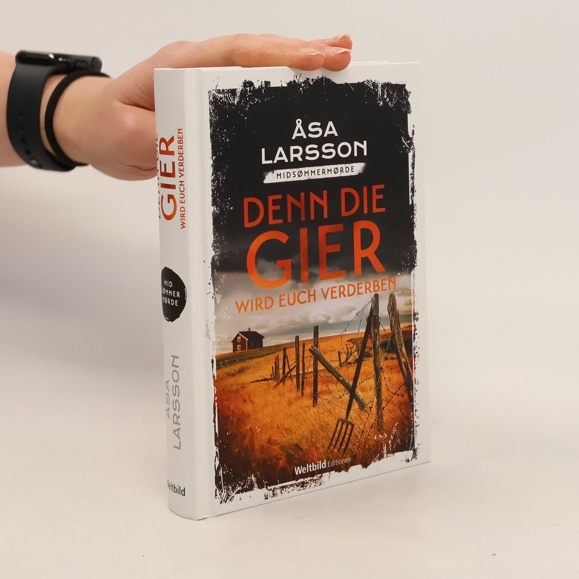 Åsa Larsson Denn die Gier wird euch verderben