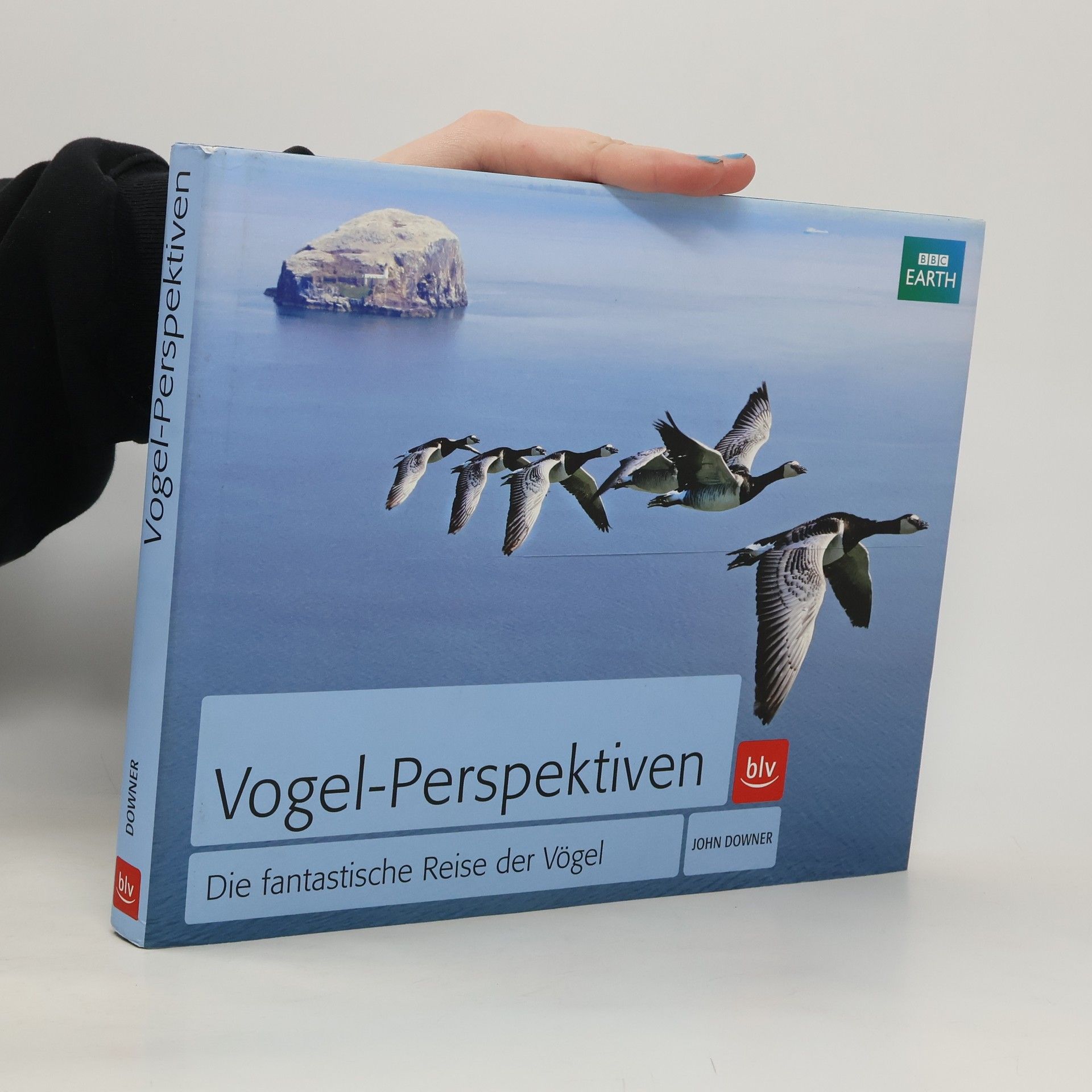 Vogel-Perspektiven