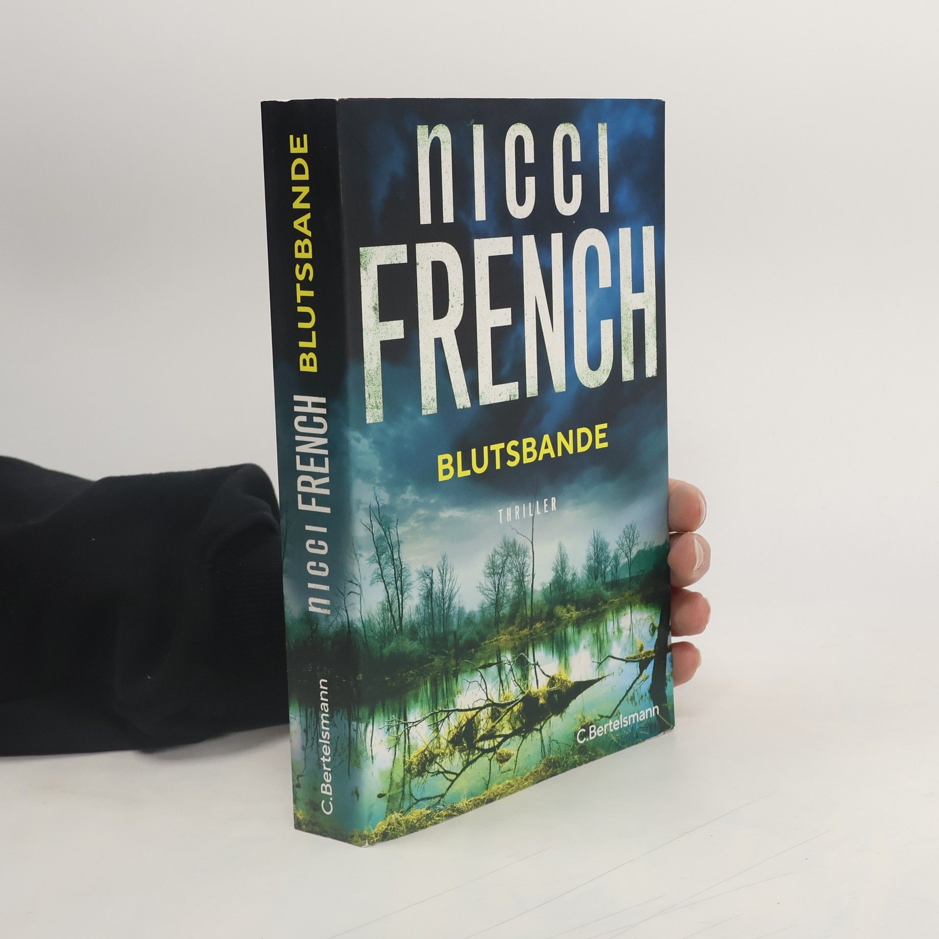 Nicci French Blutsbande