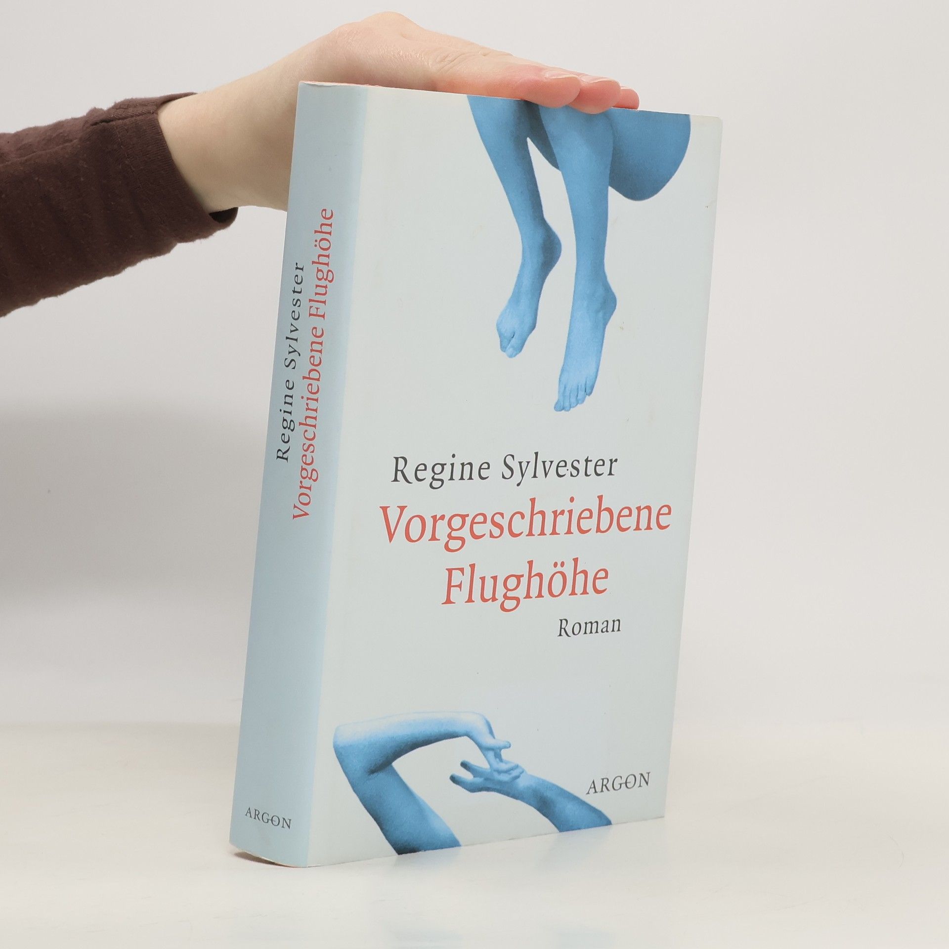 Regine Sylvester Vorgeschriebene Flughöhe