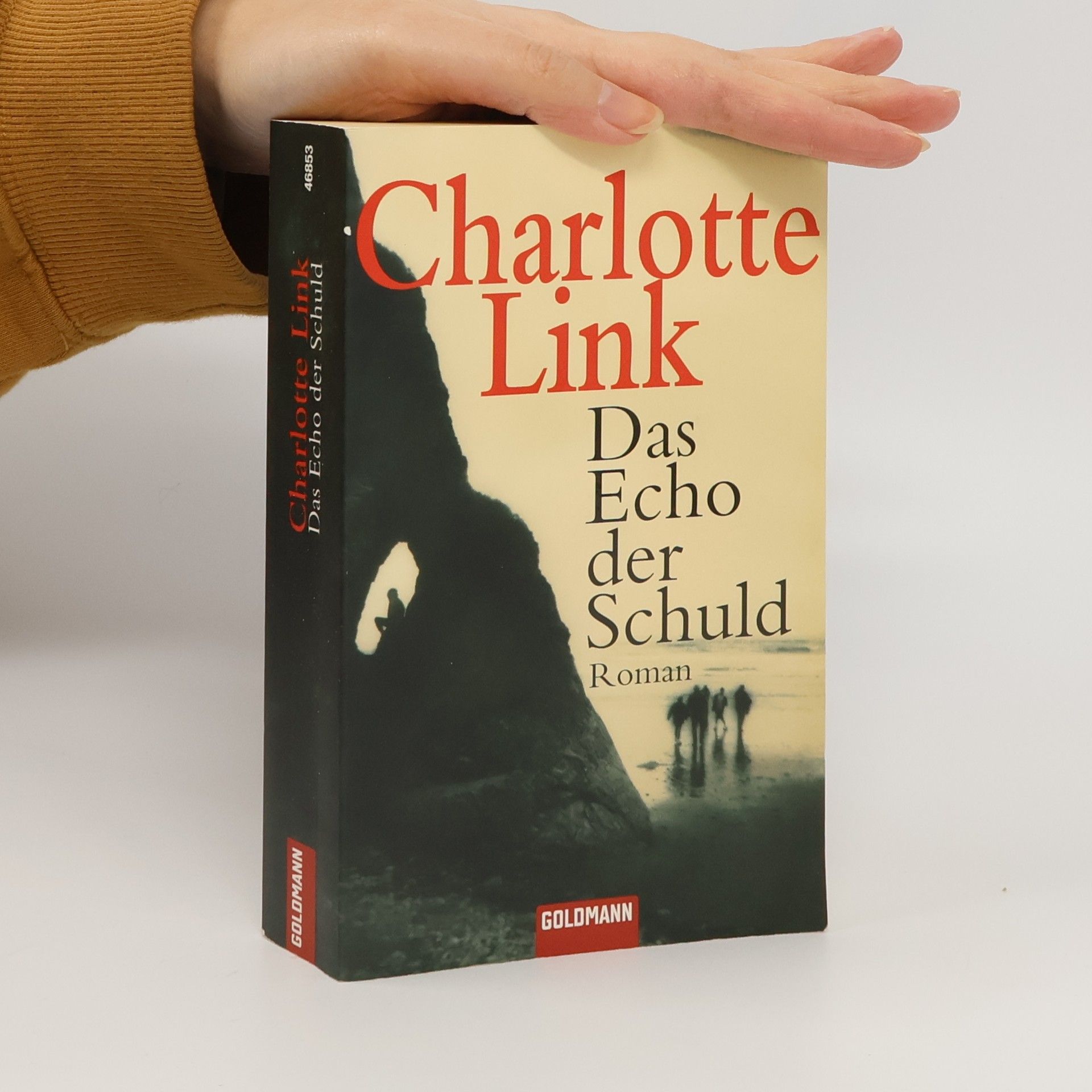 Charlotte Link Das Echo der Schuld