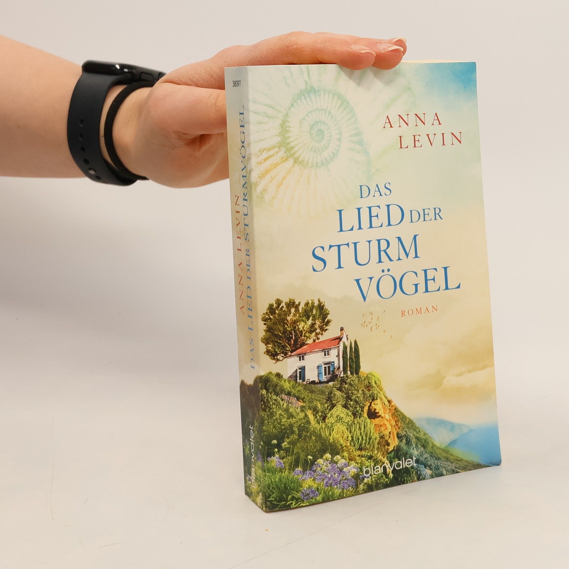 Anna Levin Das Lied der Sturmvögel