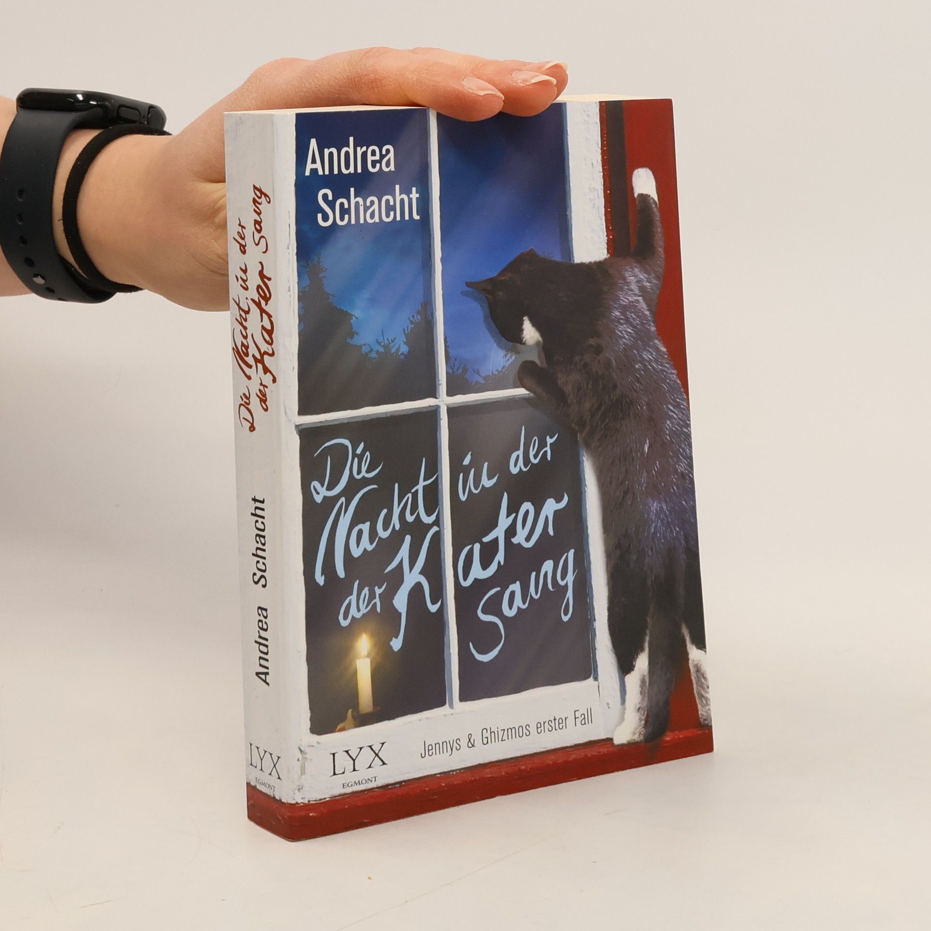 Andrea Schacht Die Nacht, in der der Kater sang