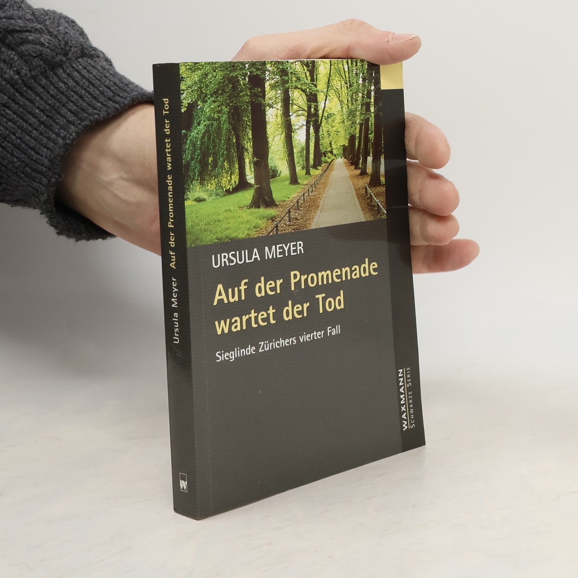 Ursula Meyer-Semlies Auf der Promenade wartet der Tod. Sieglinde Zürichers vierter Fall