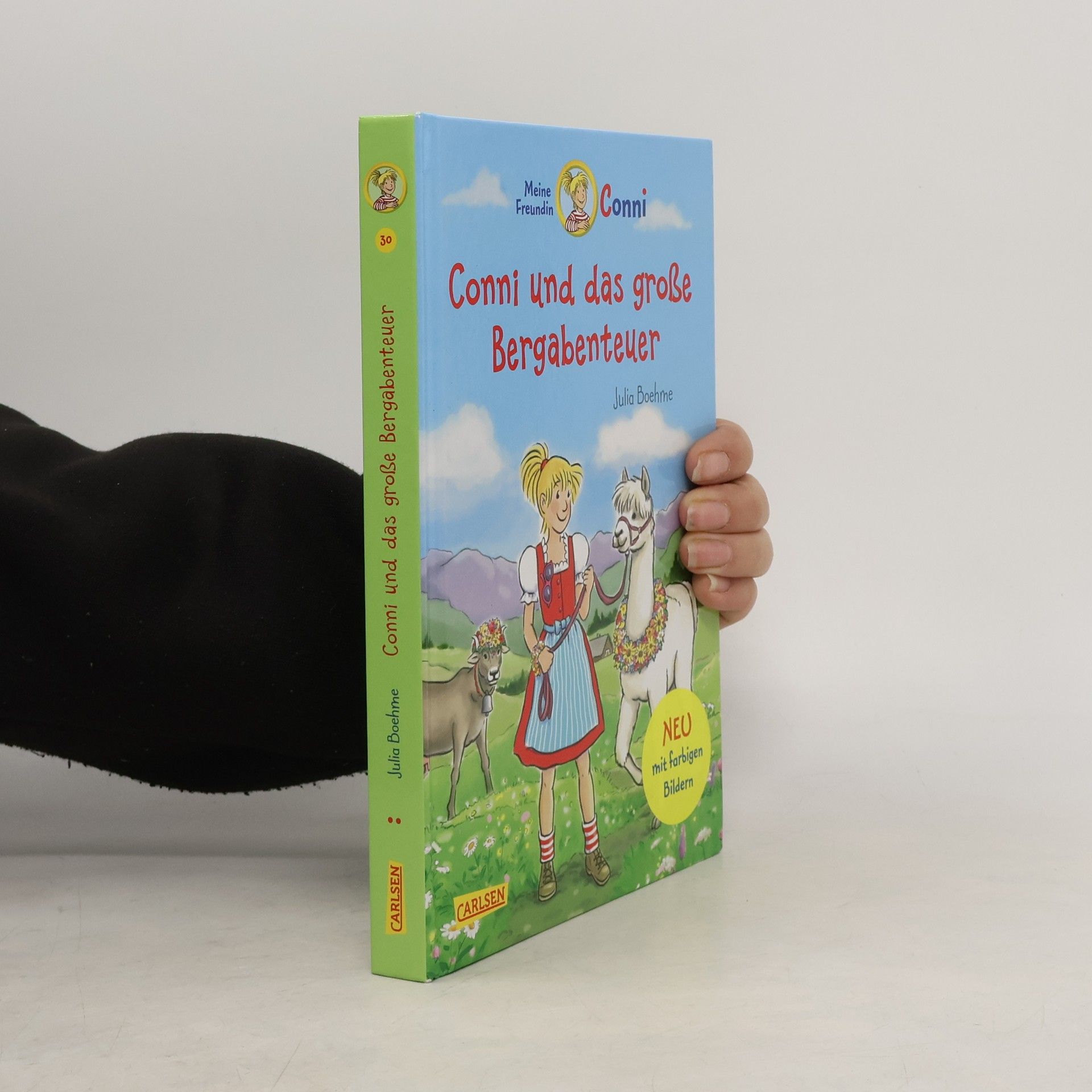 Julia Boehme Conni und das große Bergabenteuer
