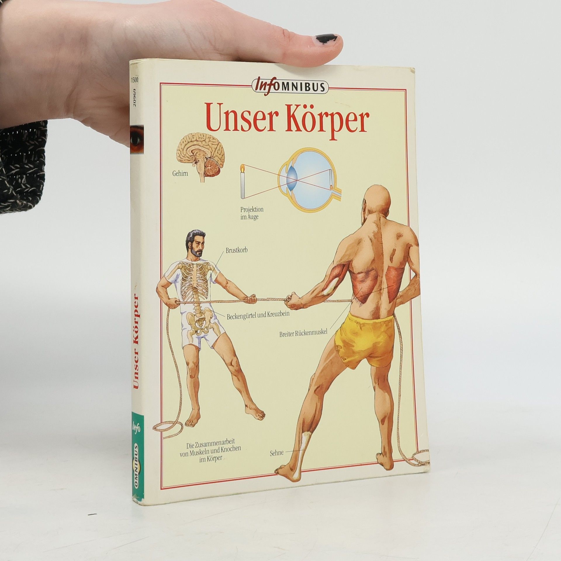 Barbara Gallavotti Unser Körper