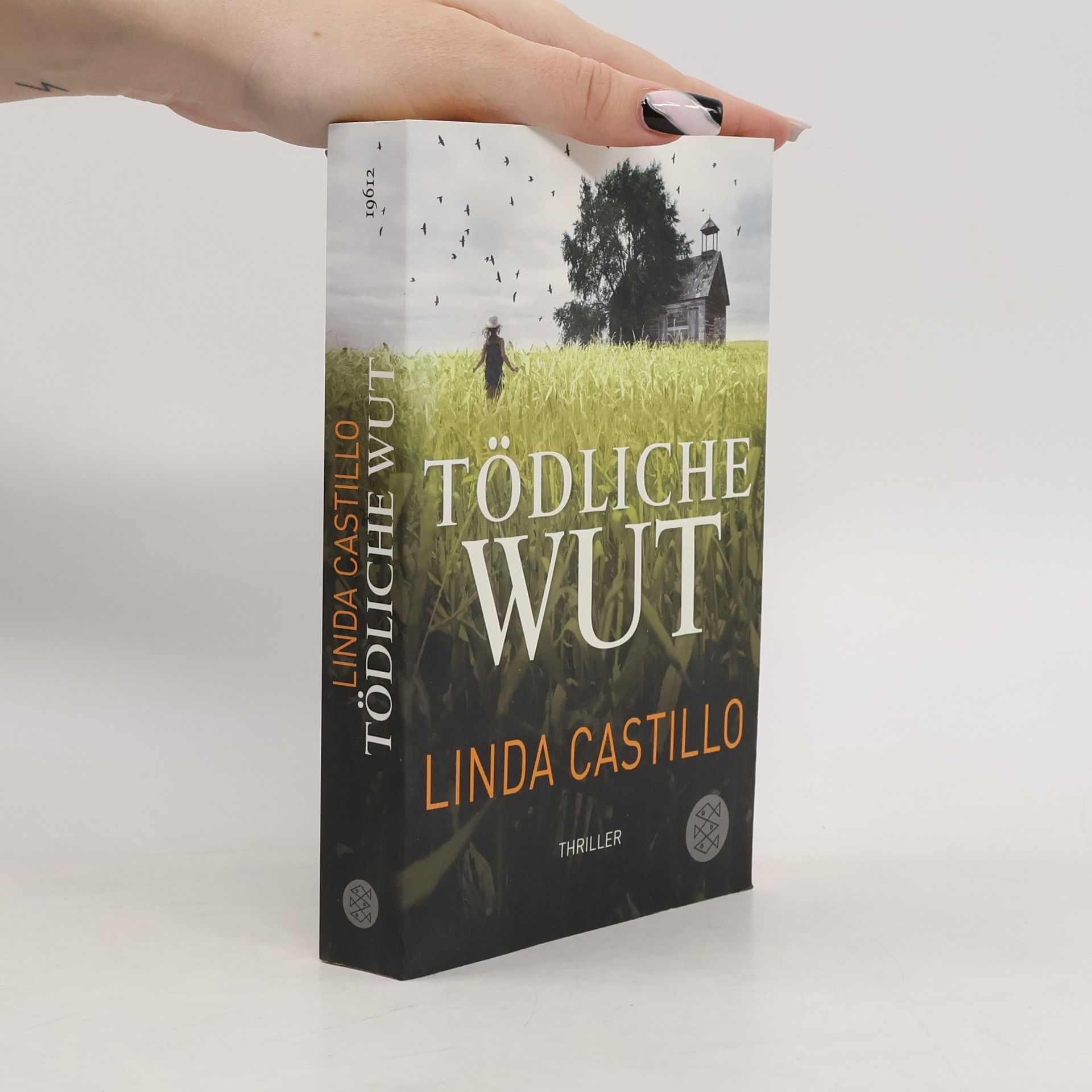 Linda Castillo Tödliche Wut