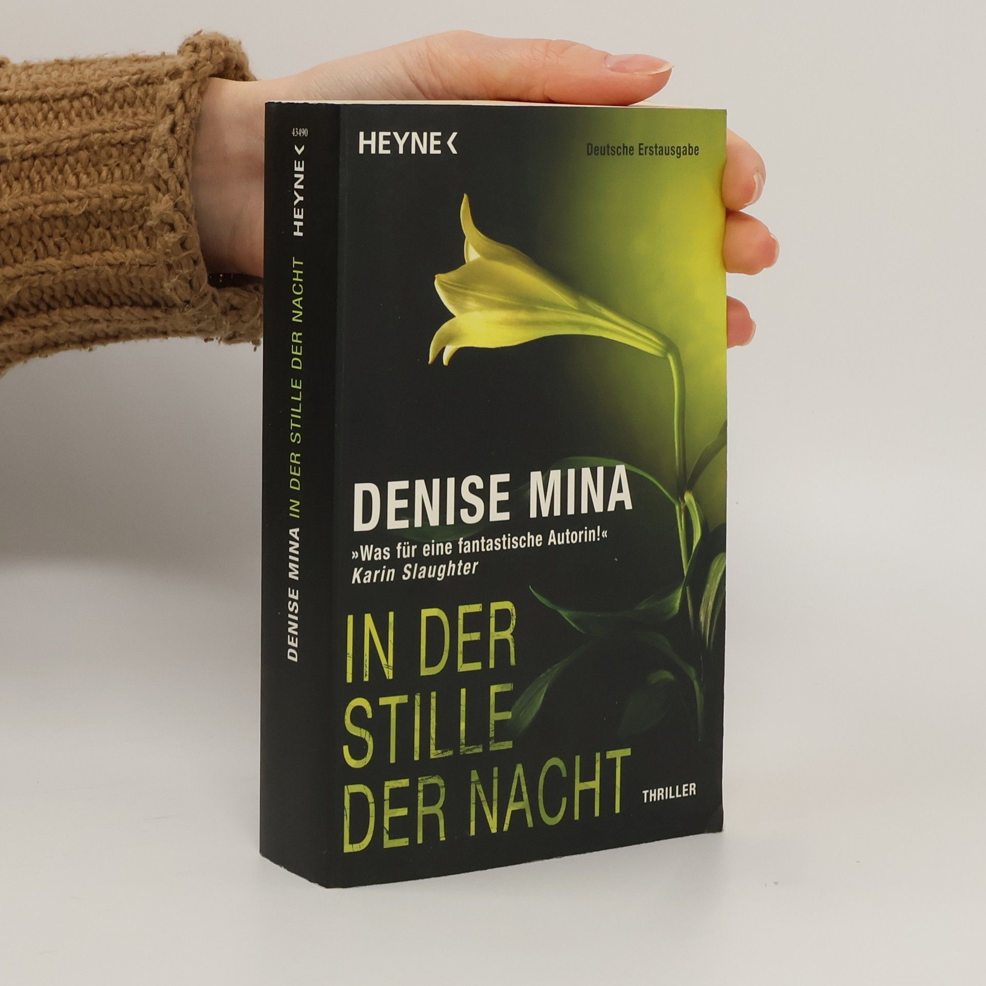 Denise Mina In der Stille der Nacht